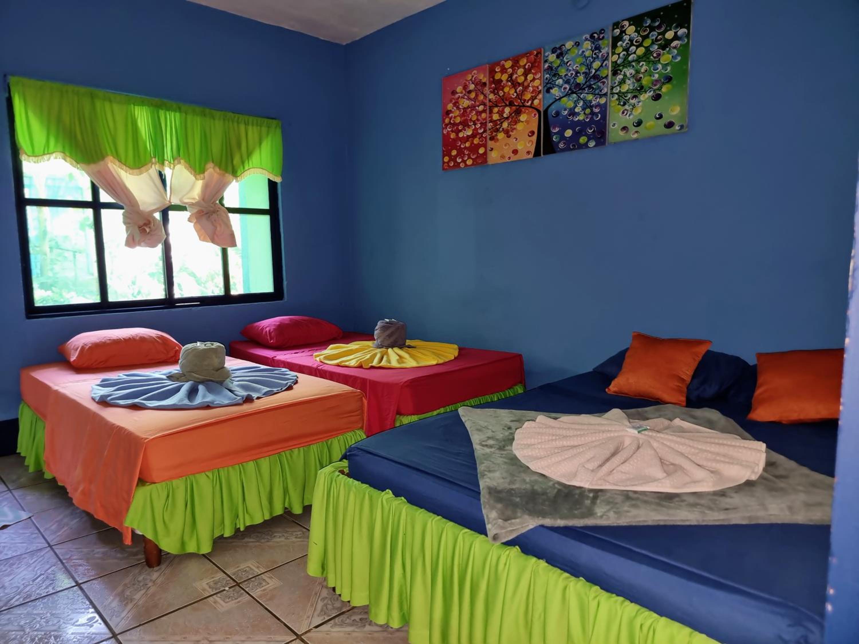 Cabinas Tortuguero Natural