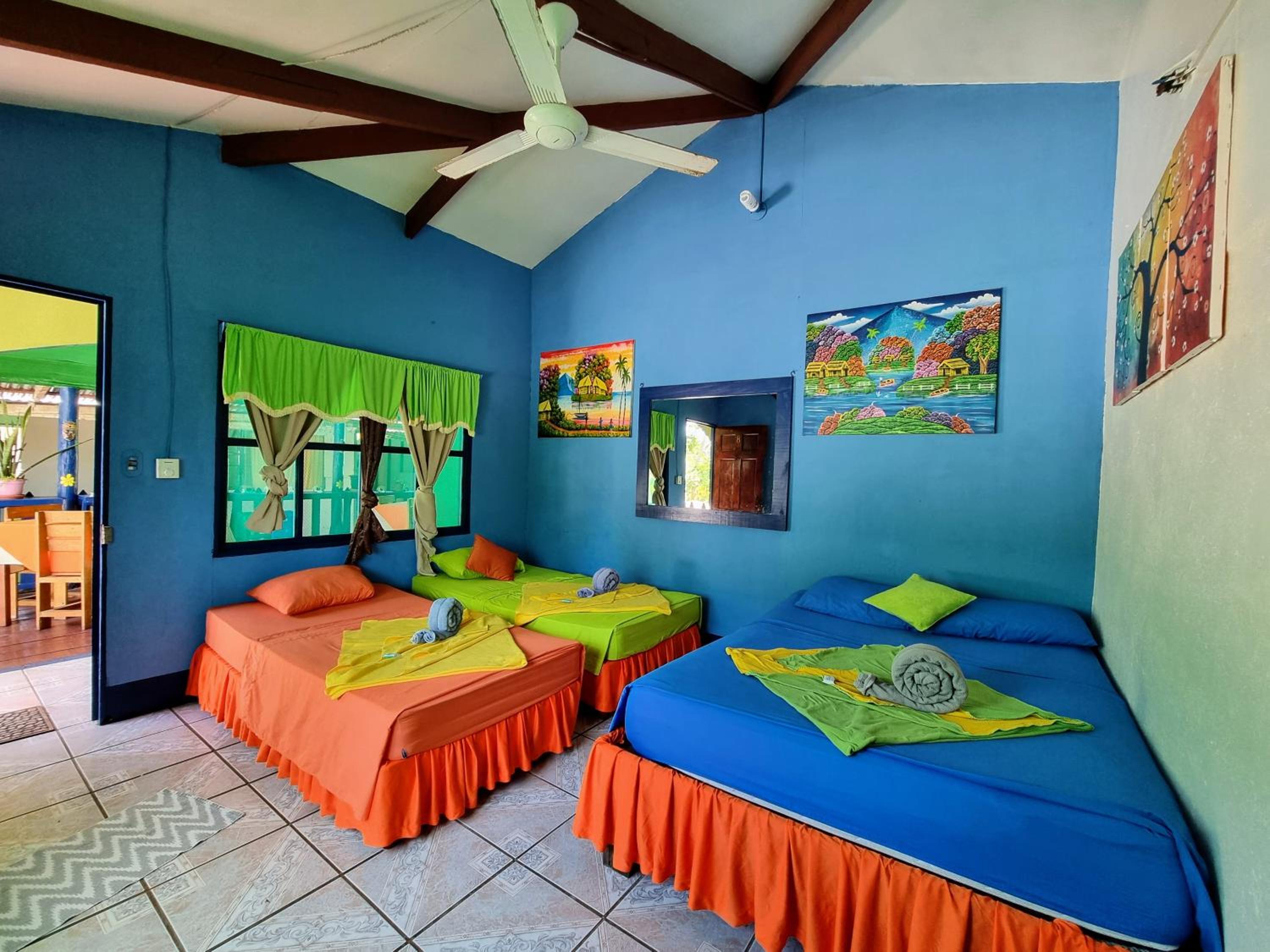 Cabinas Tortuguero Natural