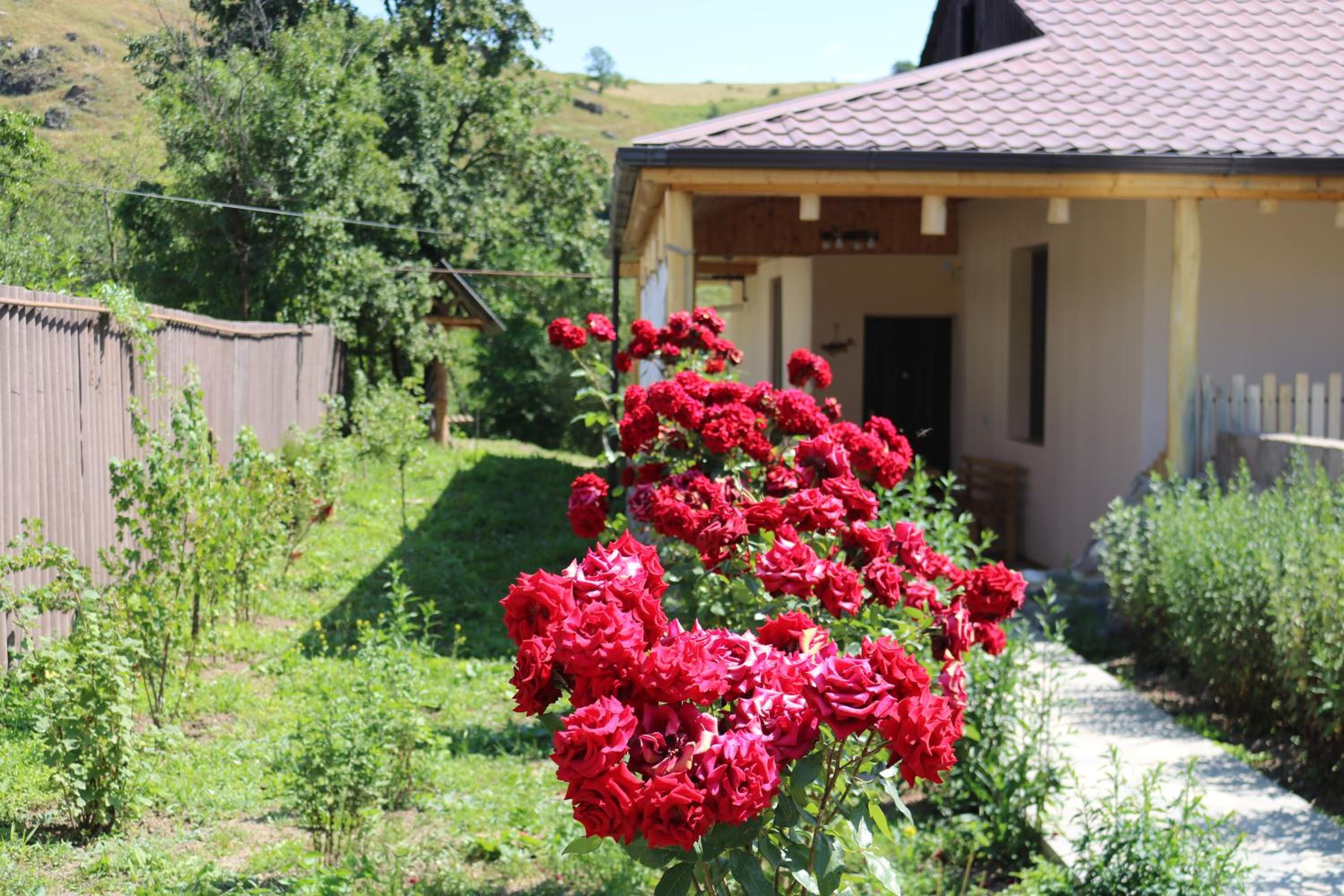 Villa Shamakhyan Dilijan