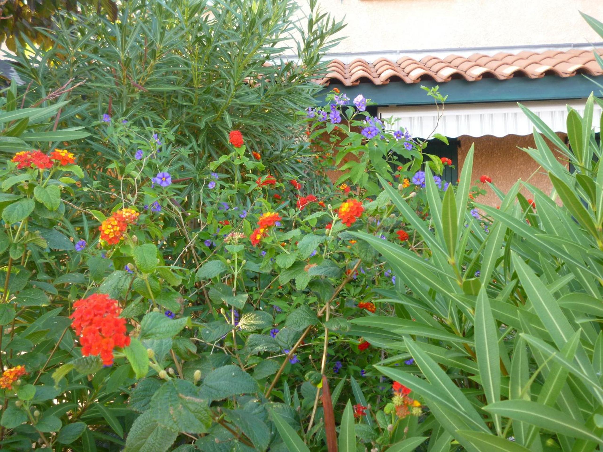 Photo 22