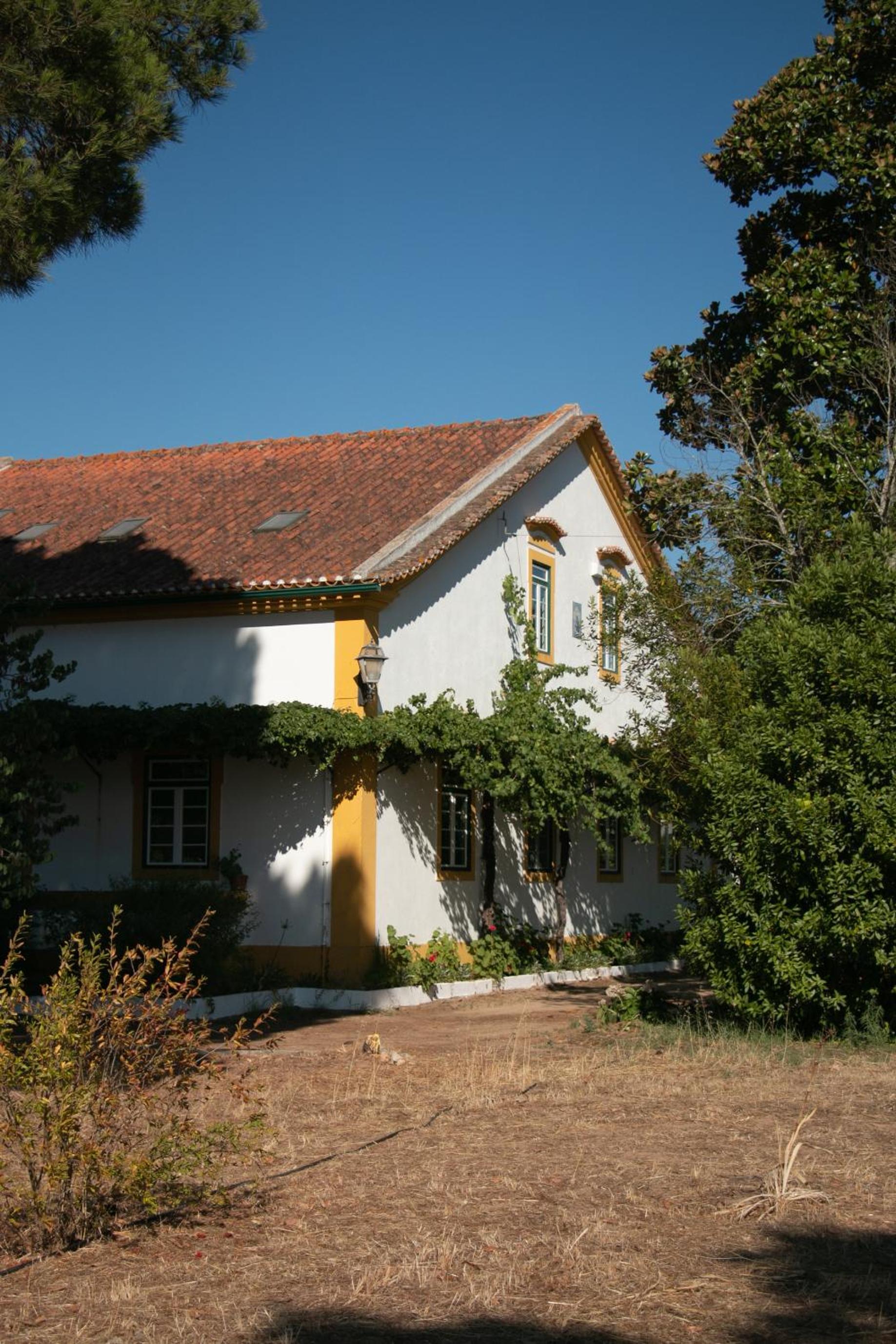 Photo 30