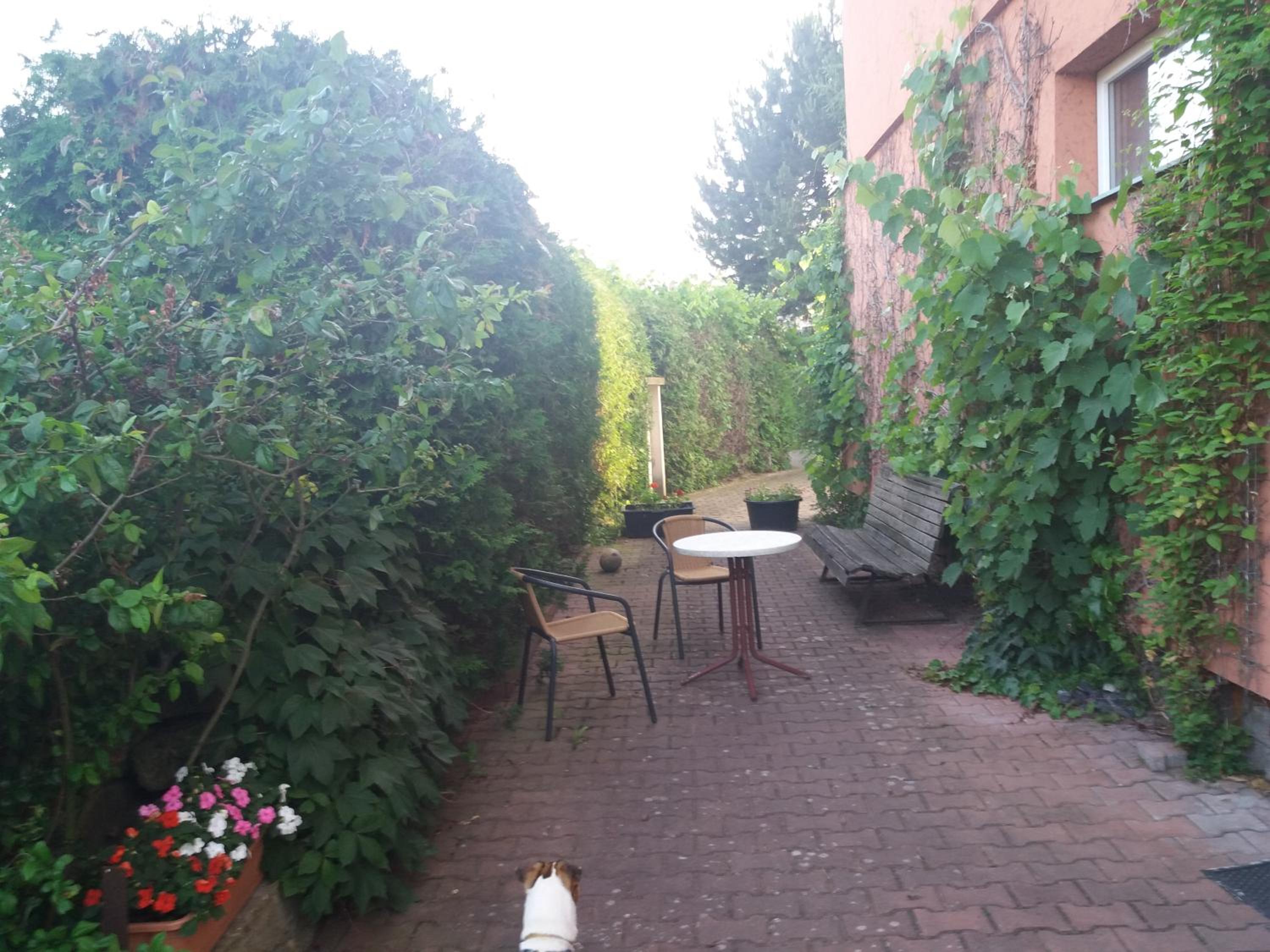 Photo 6