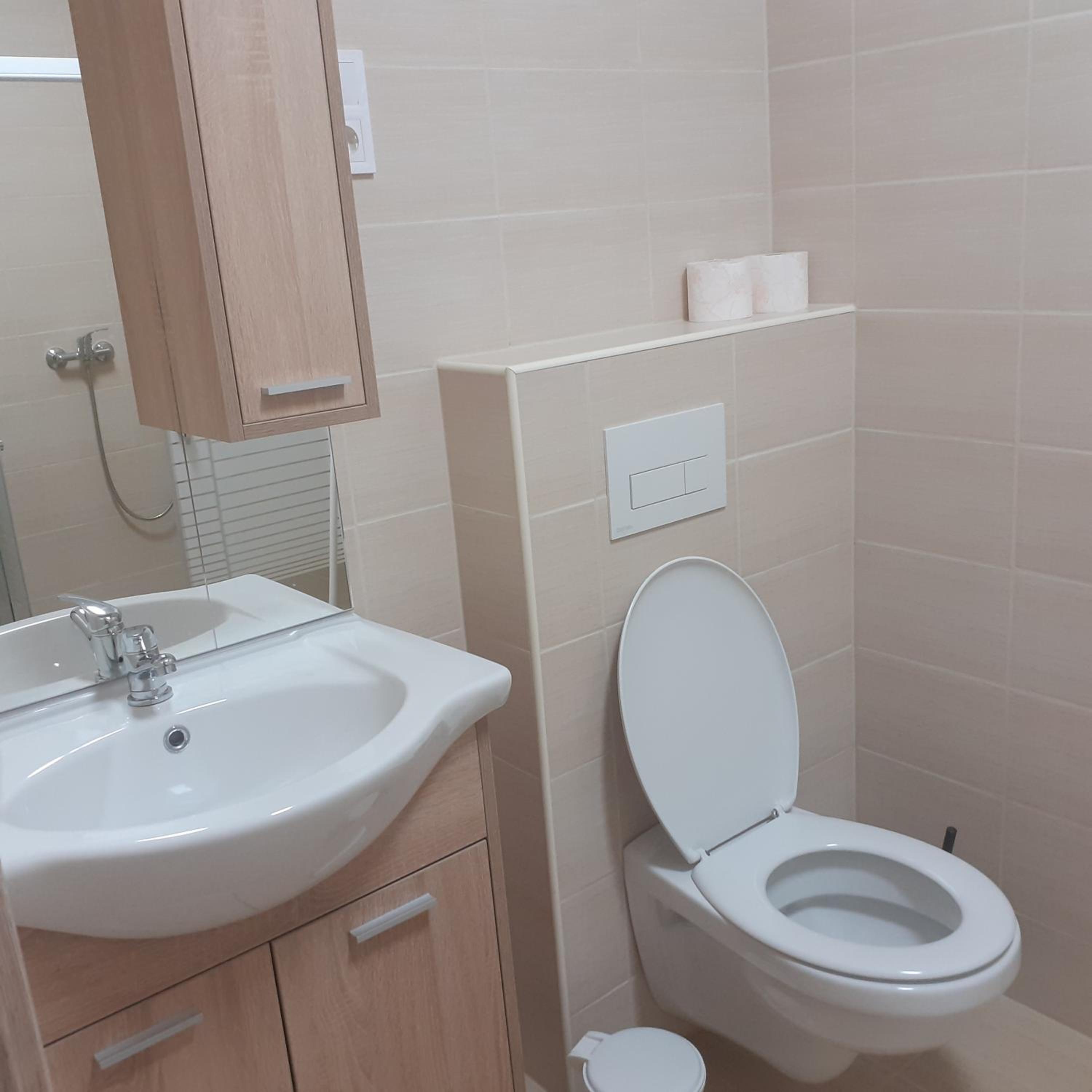 Borti Apartman view 2