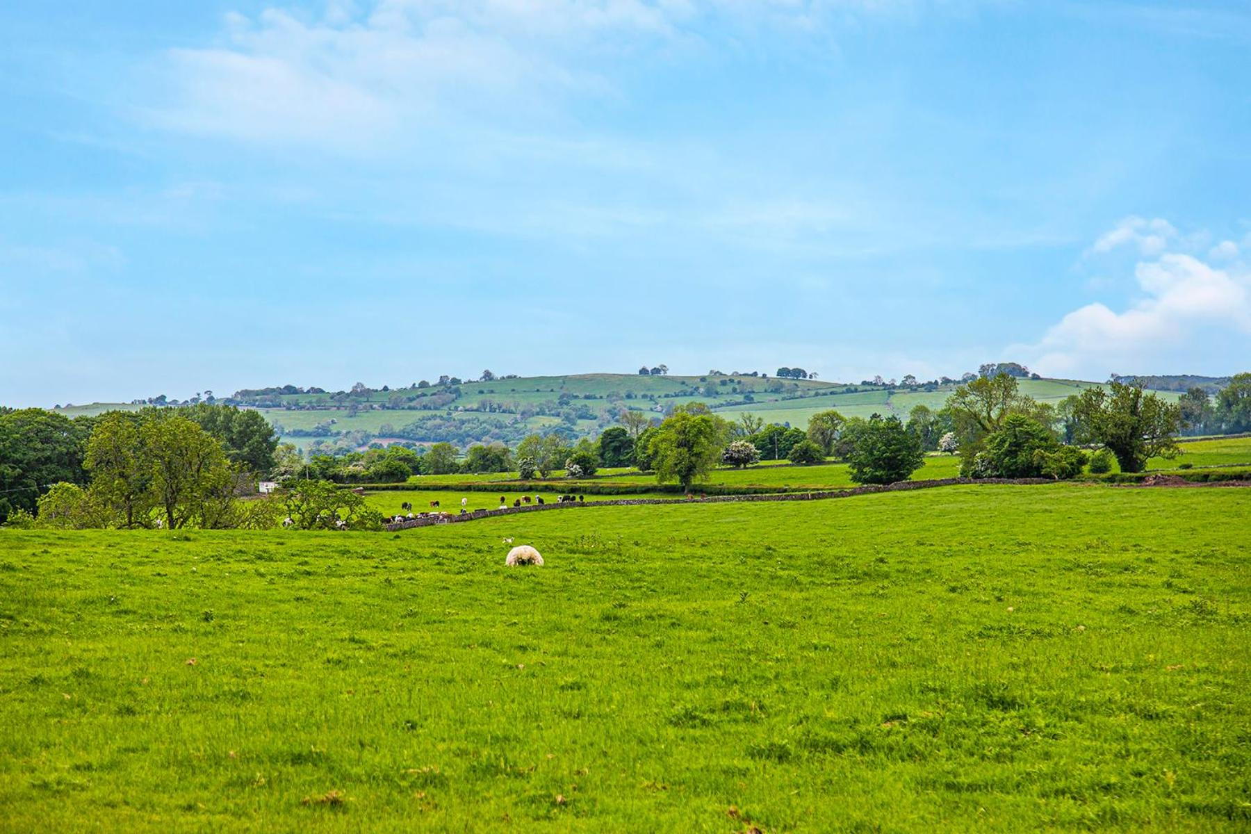The Coach House at Dovedale Manor view 5