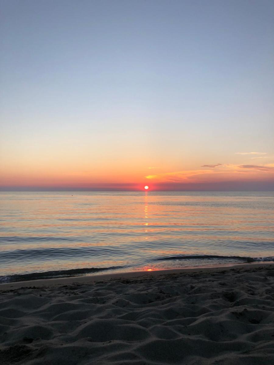Summer by the Sea