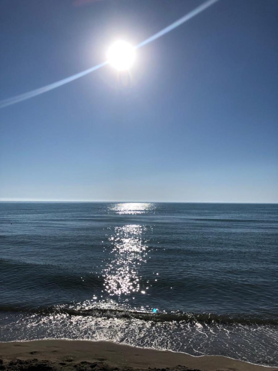 Summer by the Sea