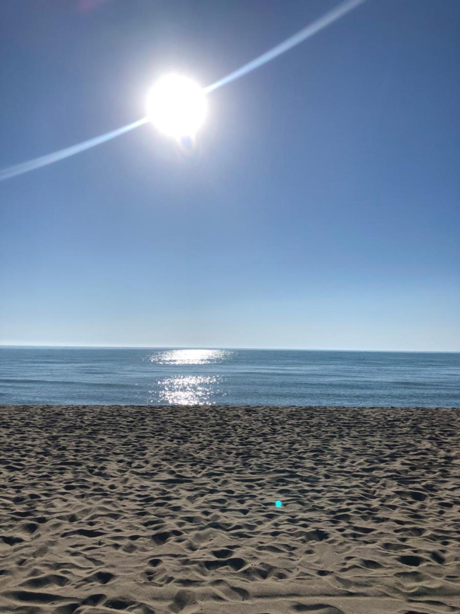 Summer by the Sea