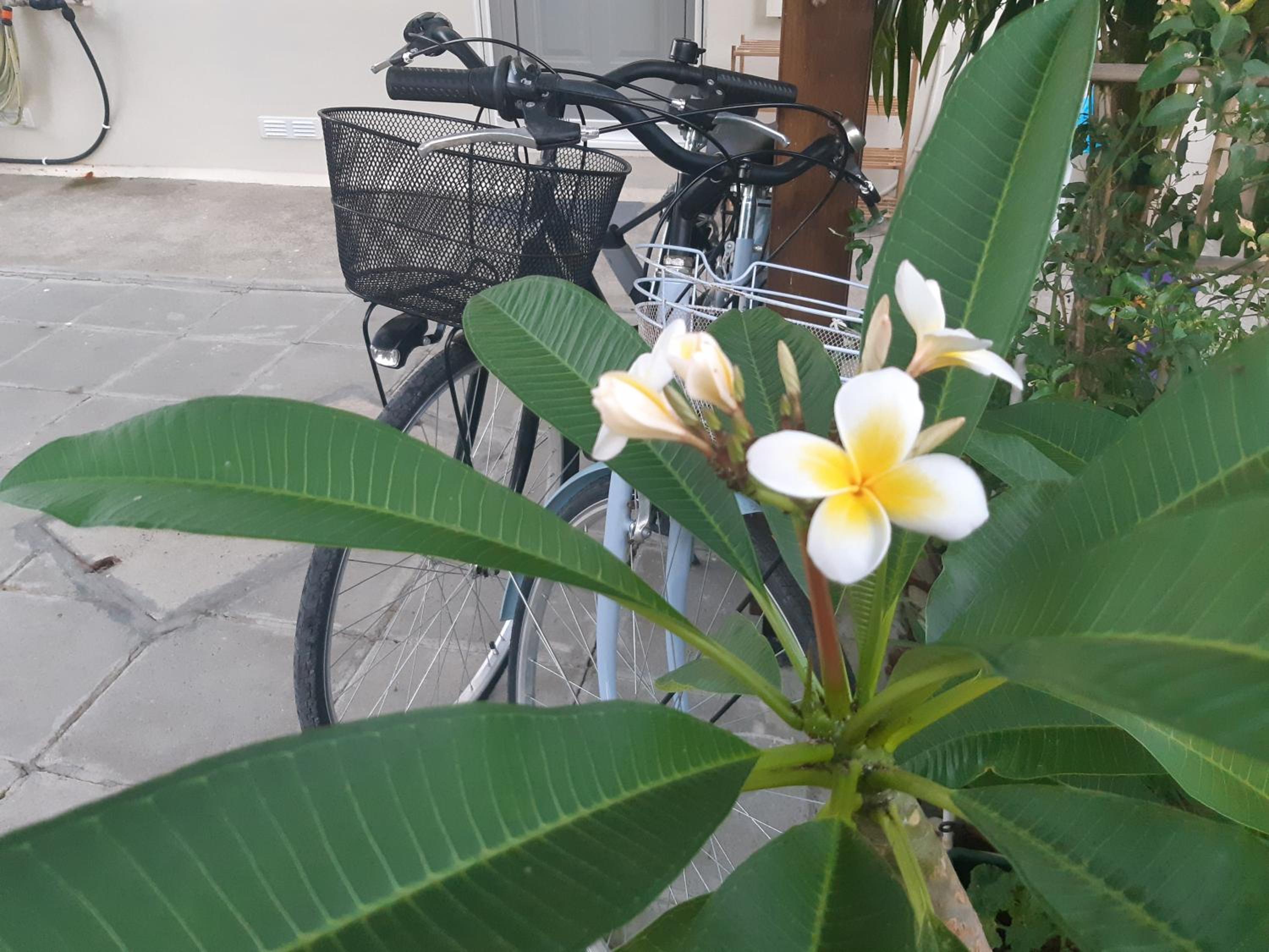 House Near The Beach (Militsa & Aggeliki)