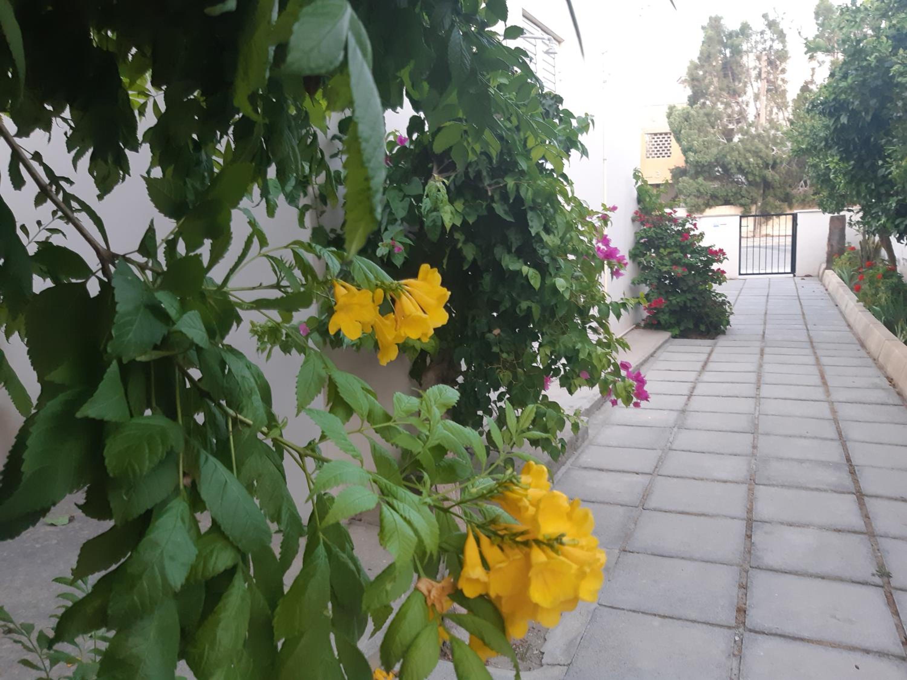 House Near The Beach (Militsa & Aggeliki)