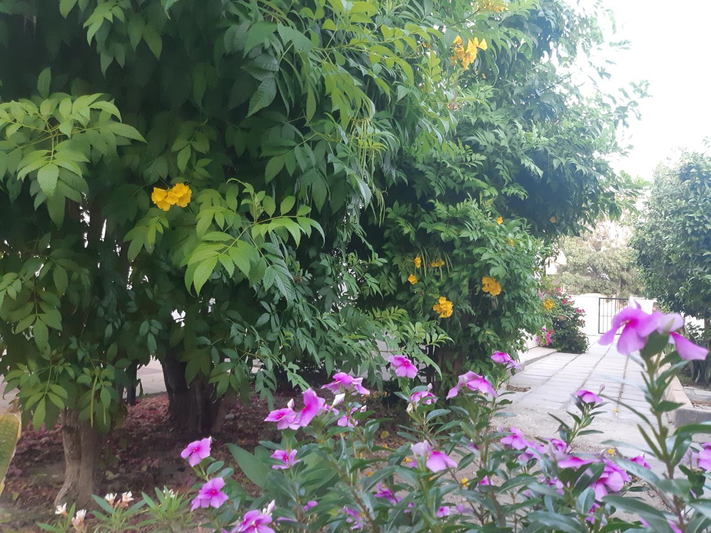 House Near The Beach (Militsa & Aggeliki)