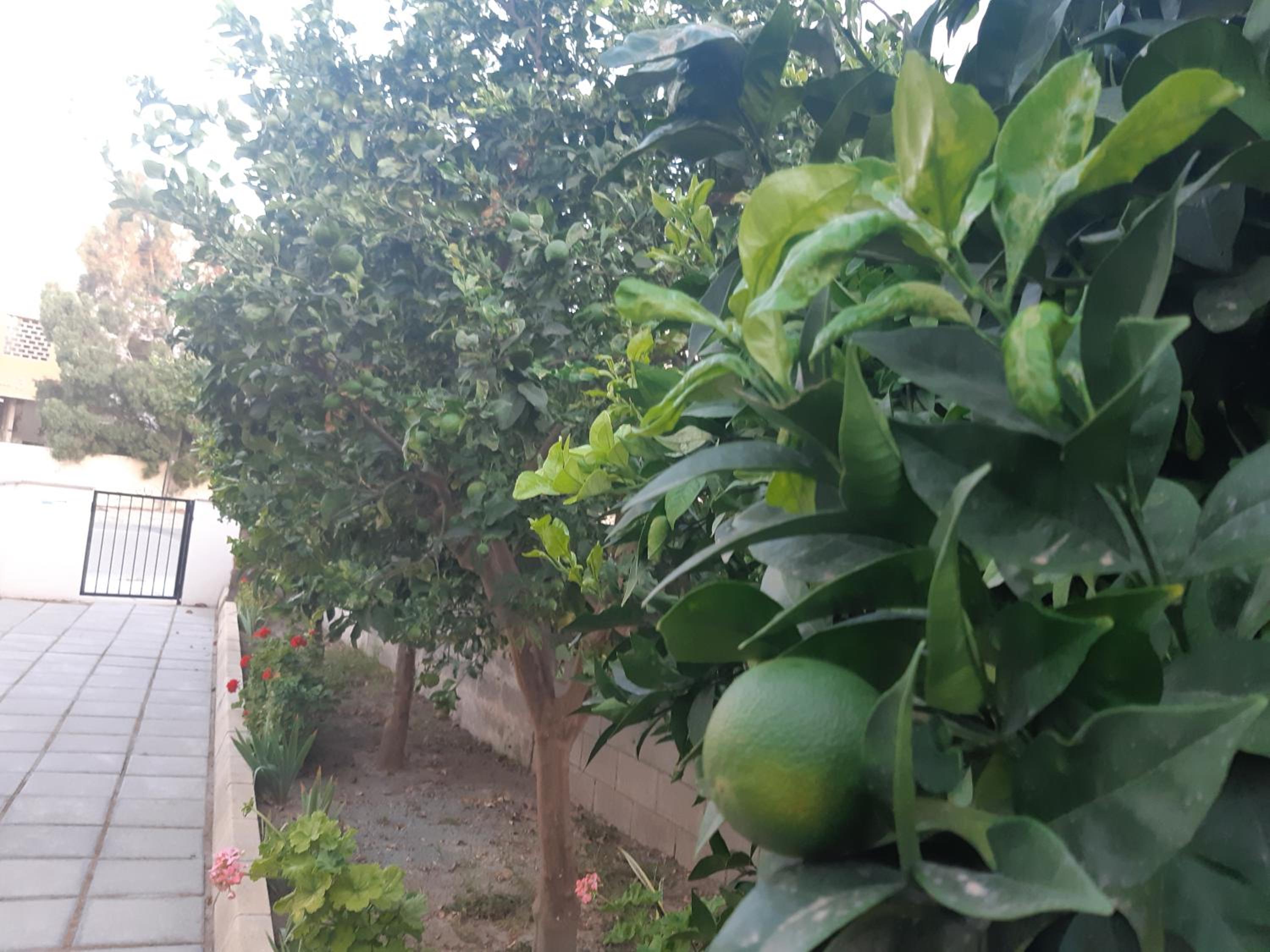 House Near The Beach (Militsa & Aggeliki)