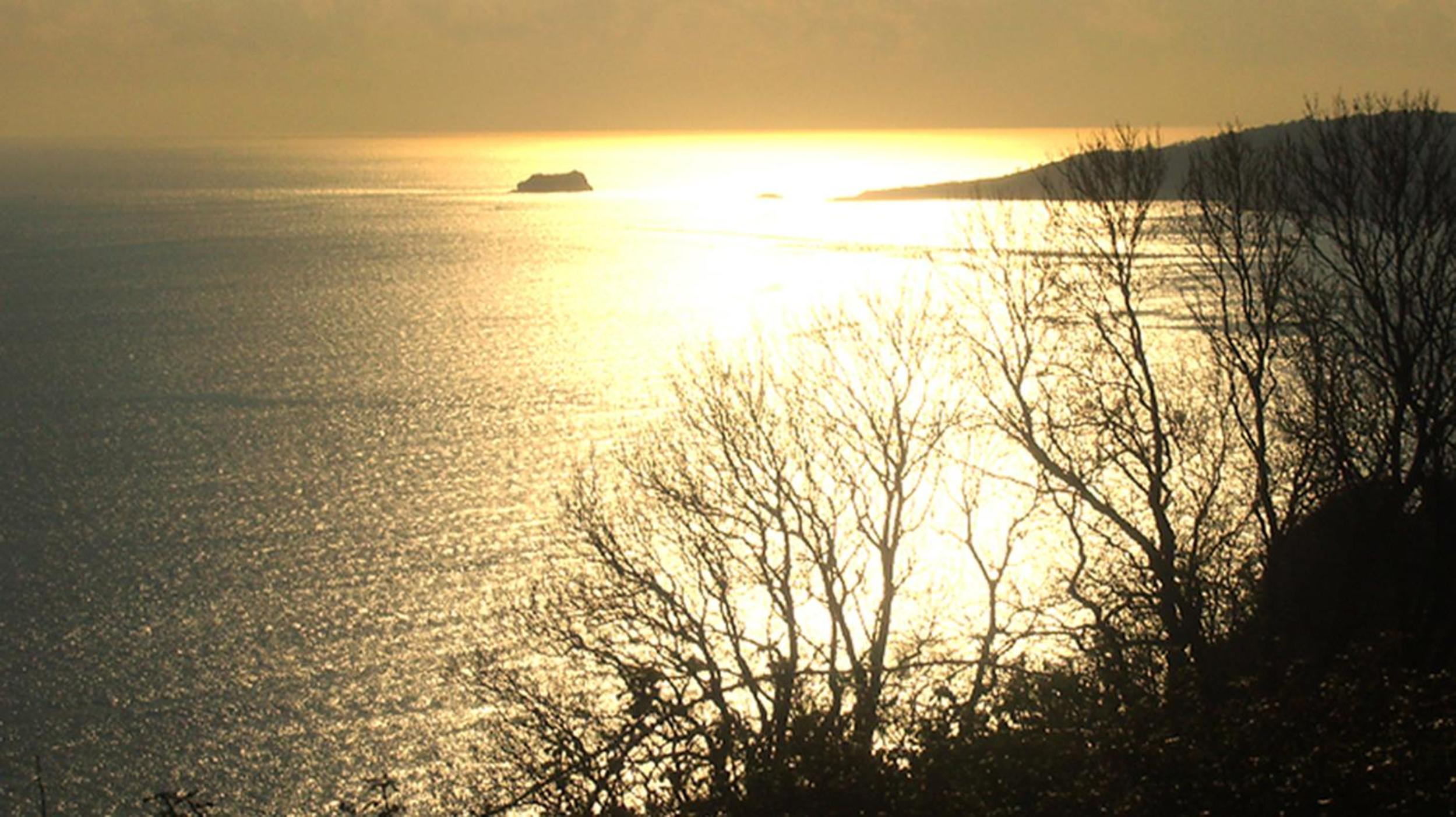 Beautiful Seaside one bedroom apartment