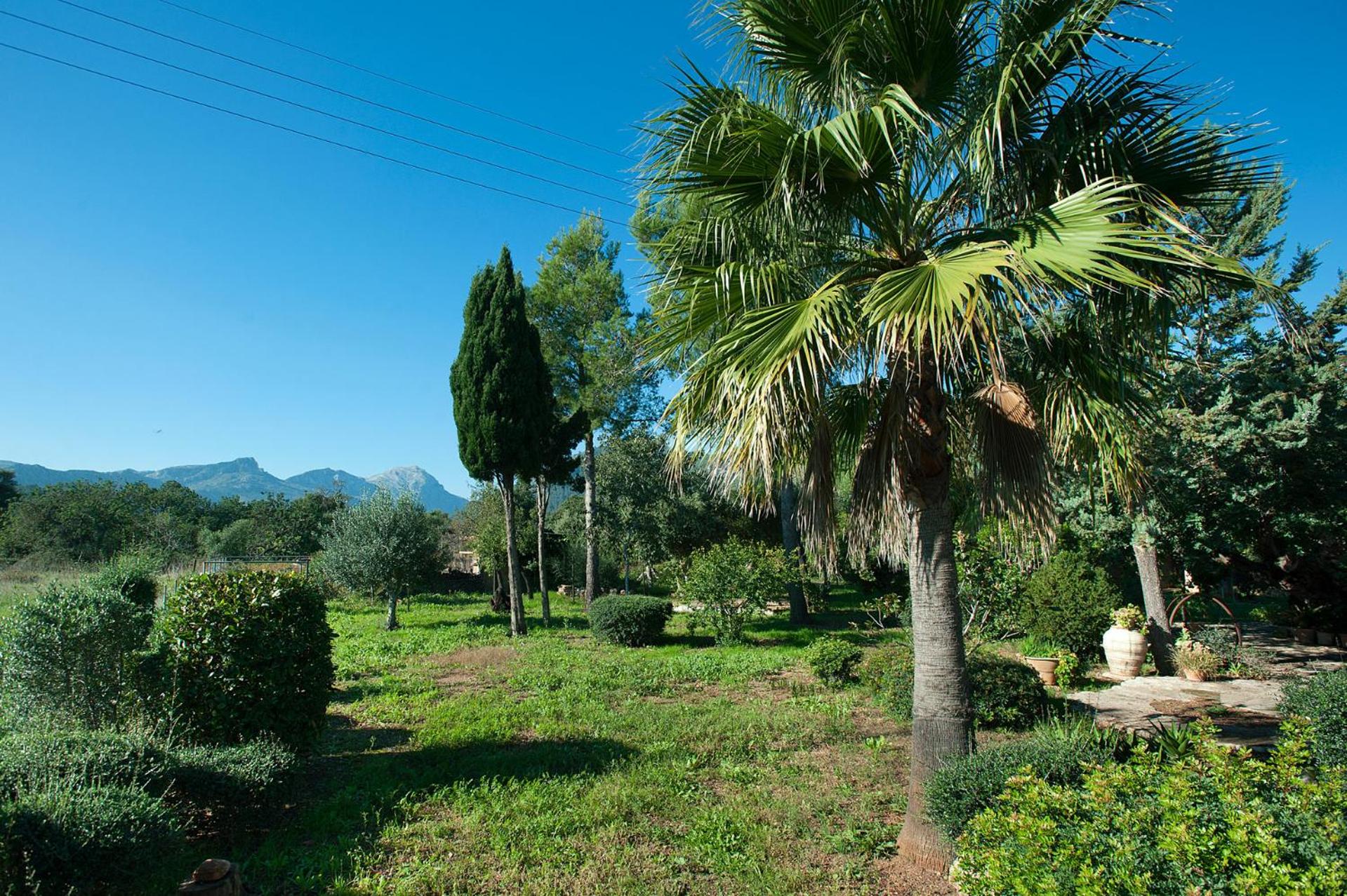 Na Catalina Amazing villa in Pollensa