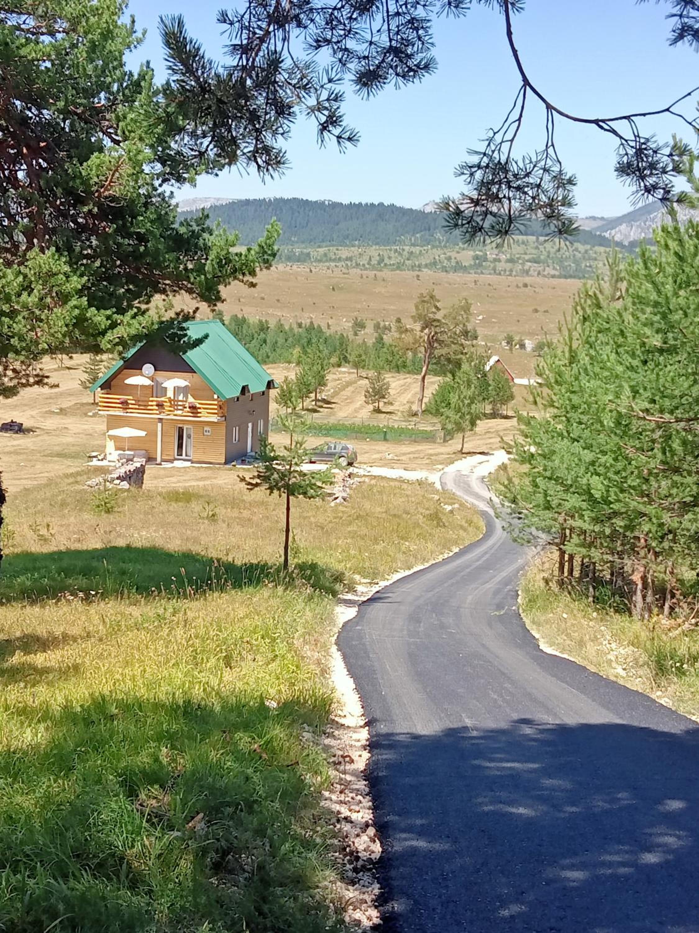 Photo 6
