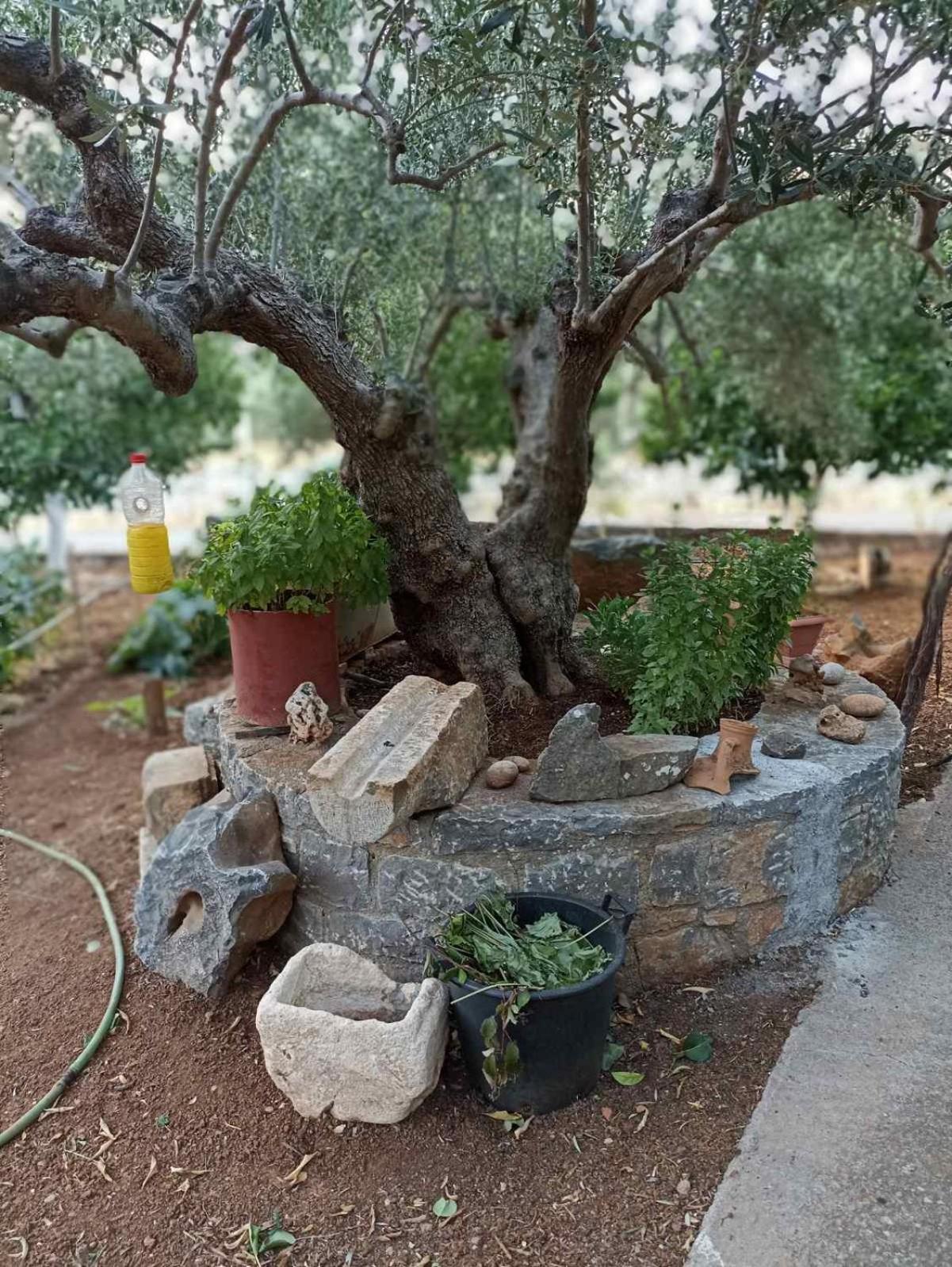 Martha's Home in Fourni Village Crete view 5