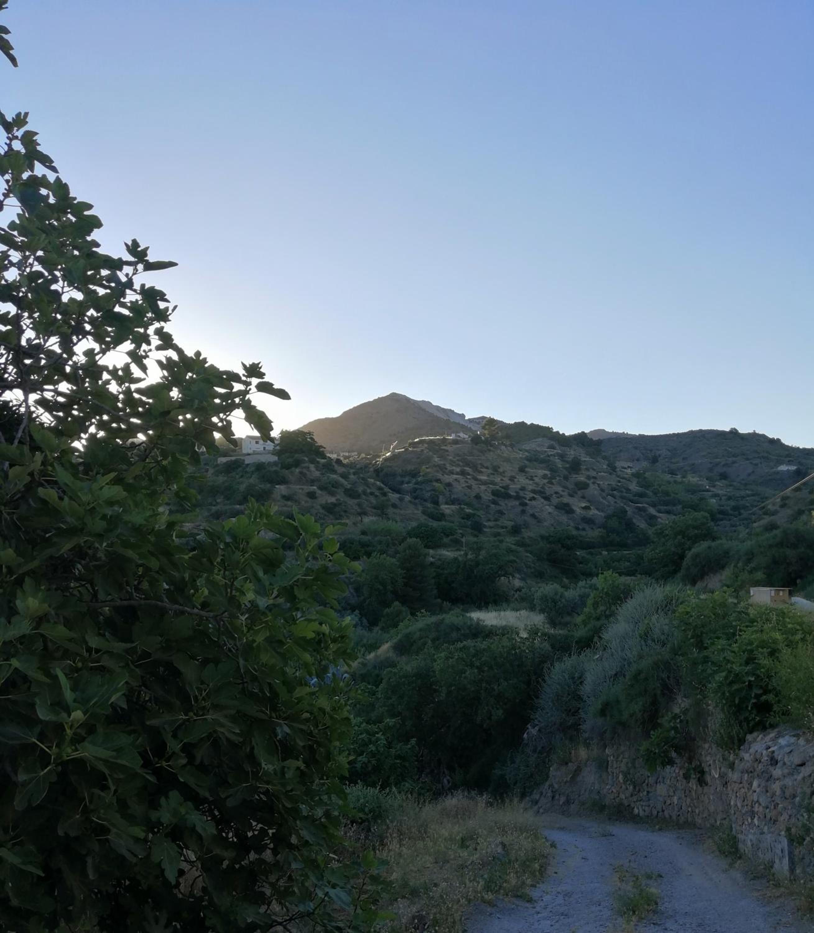 Molino Mio
