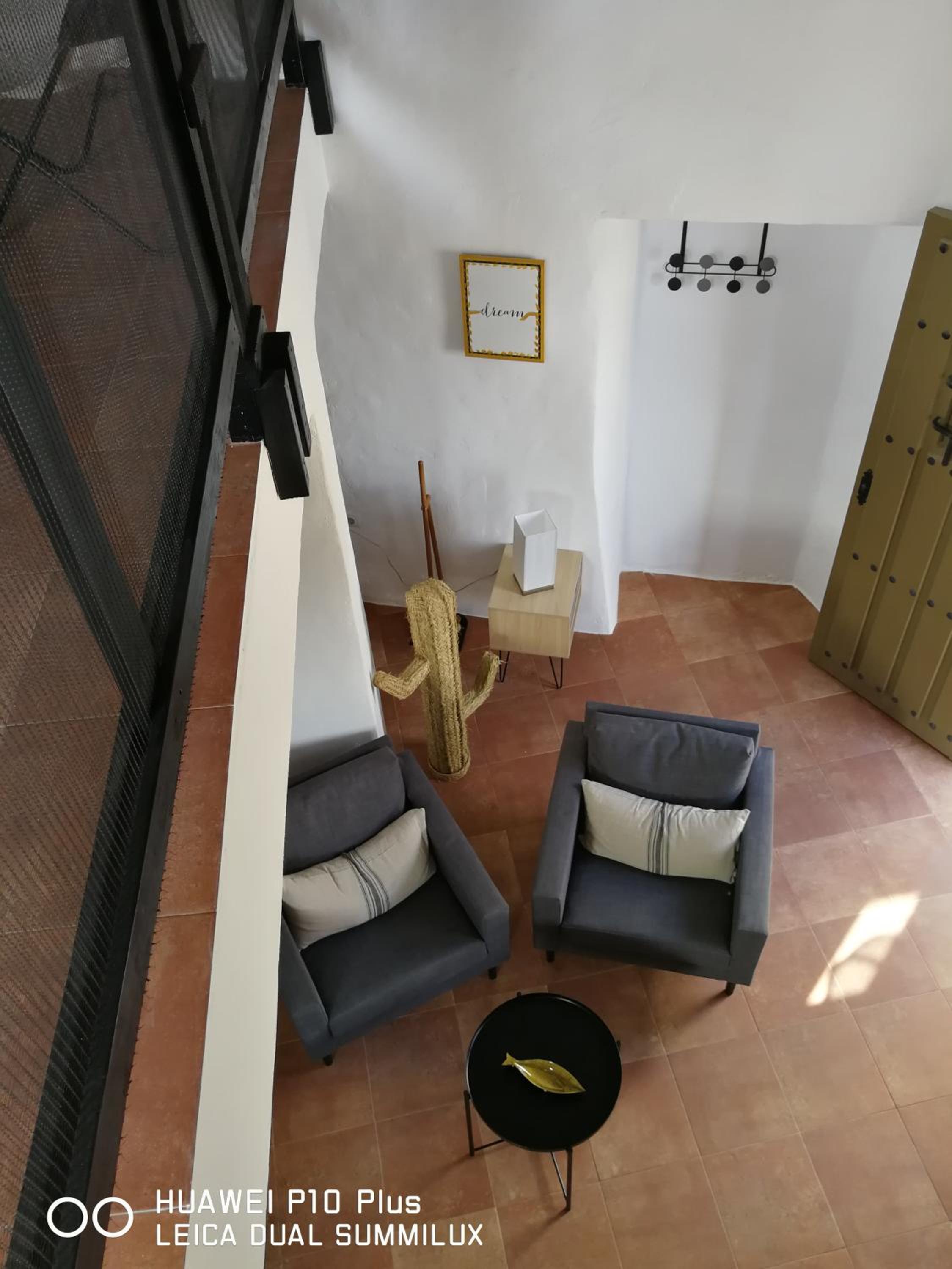 Molino Mio