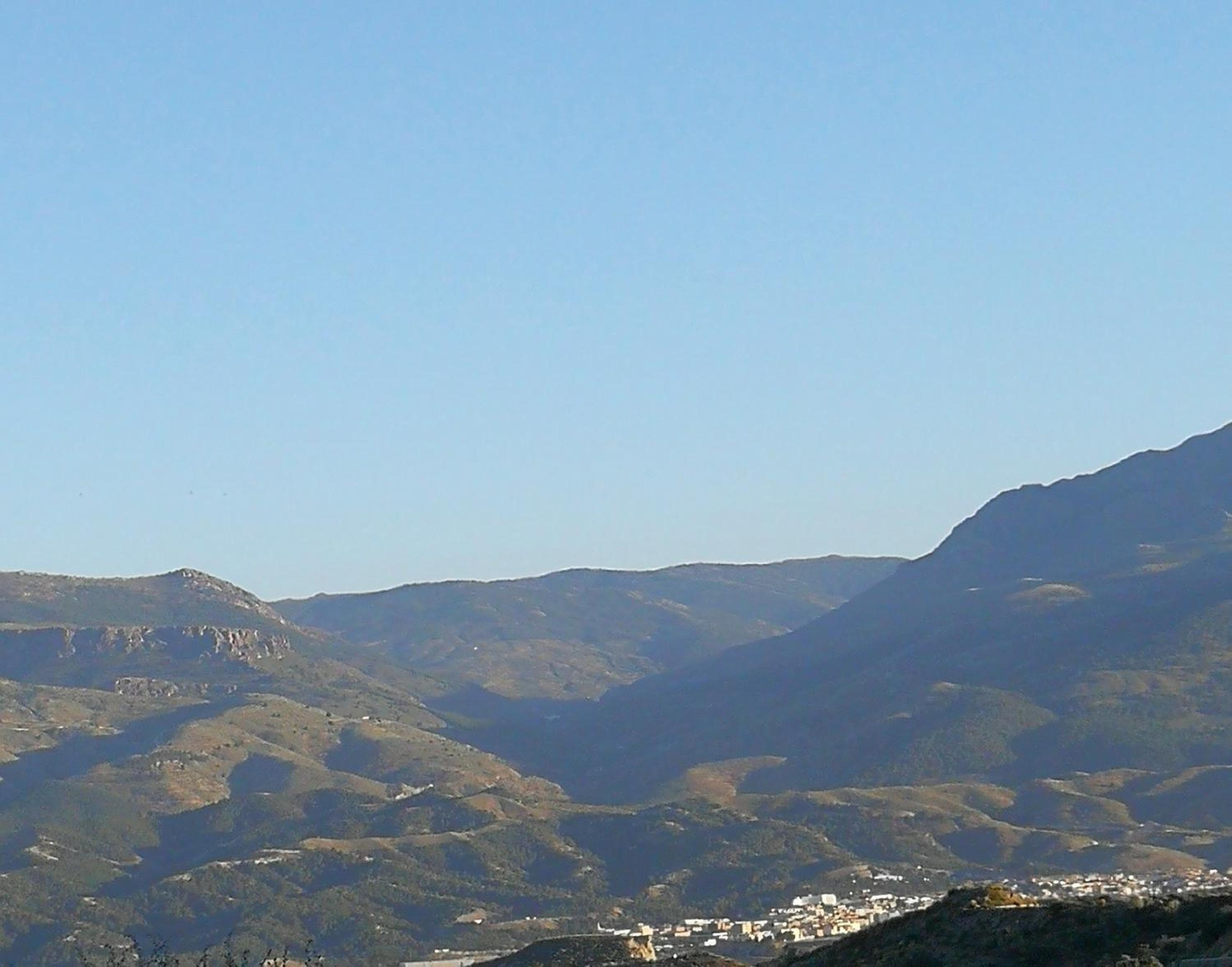 Molino Mio