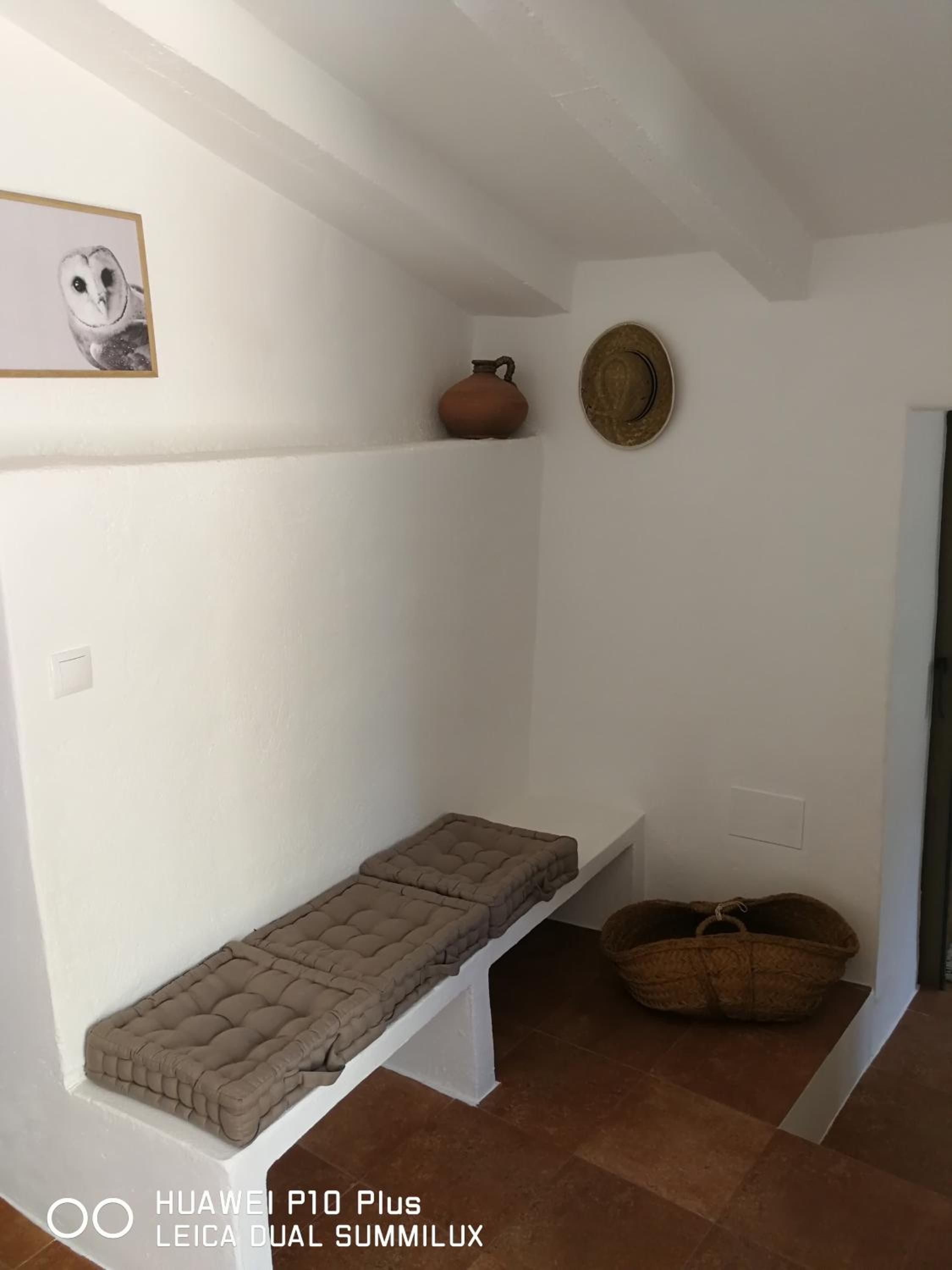 Molino Mio