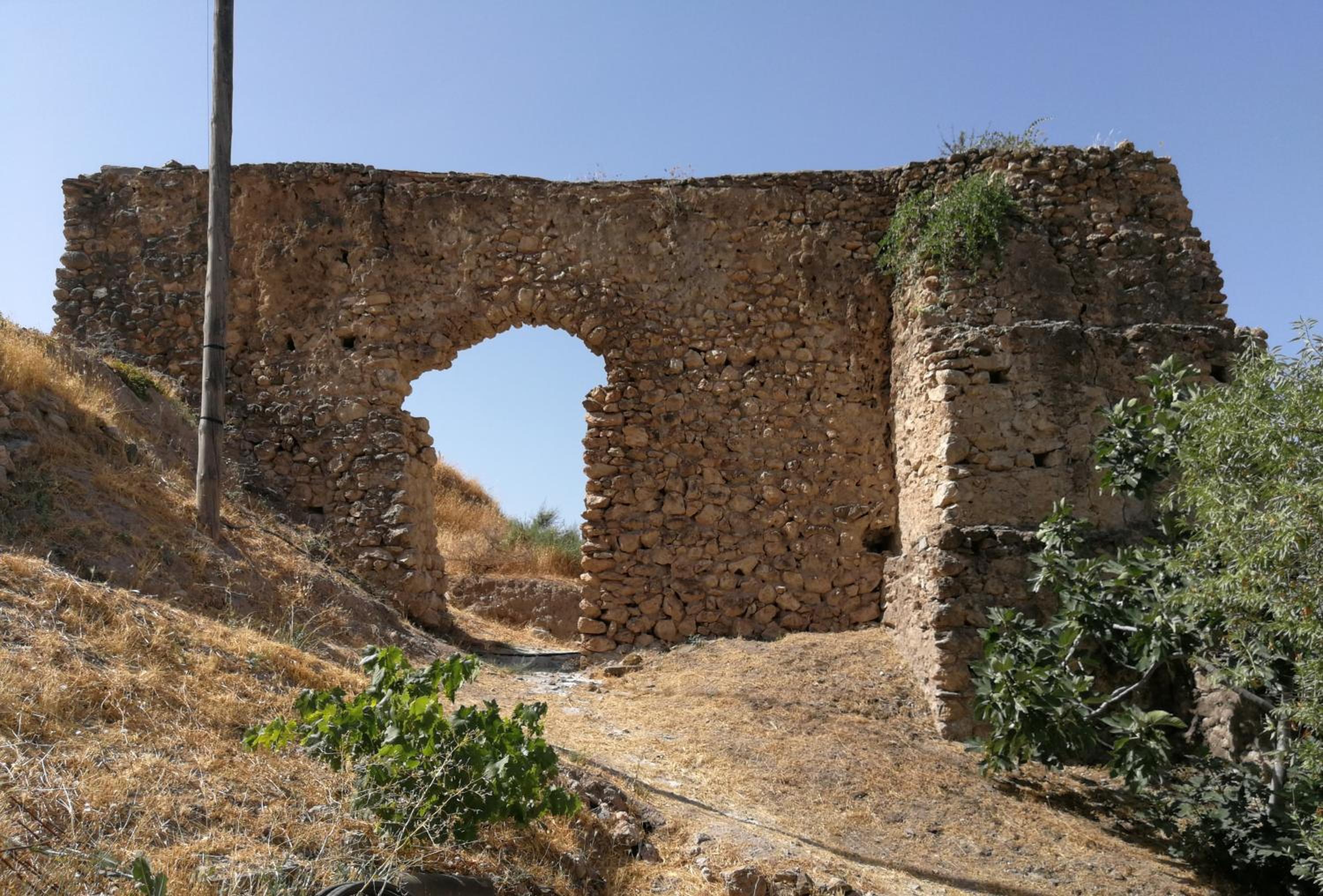 Molino Mio