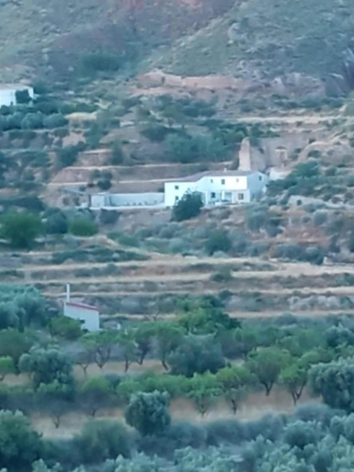 Molino Mio