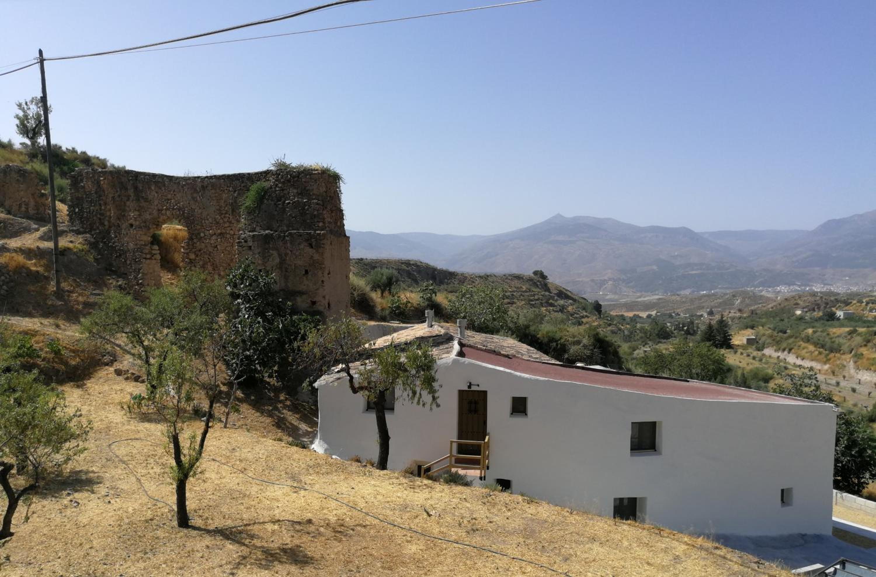Molino Mio