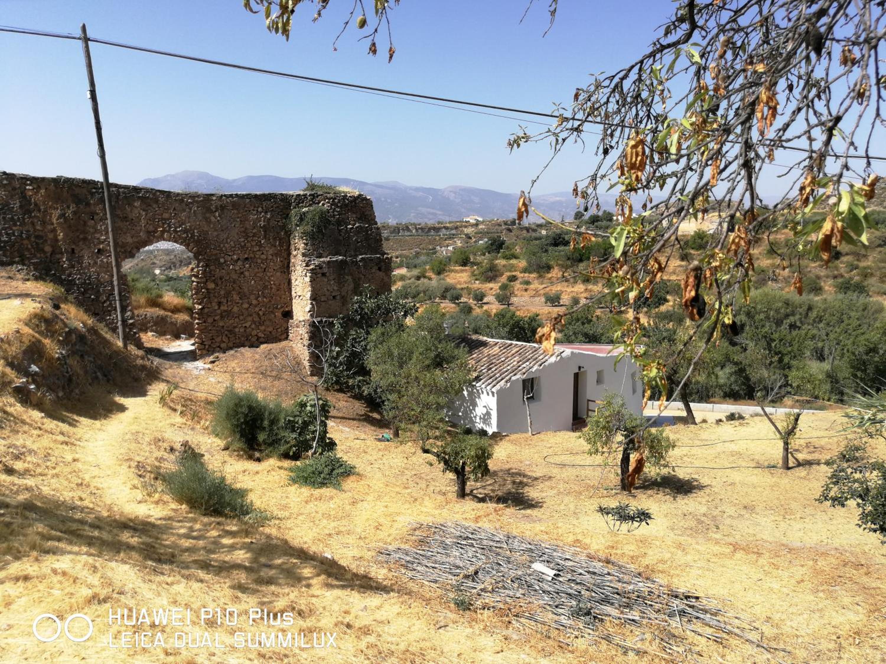 Molino Mio