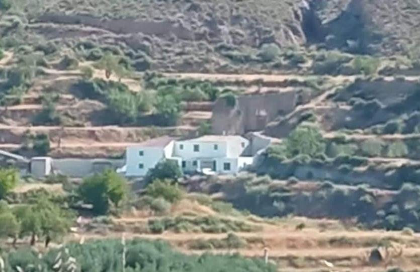Molino Mio