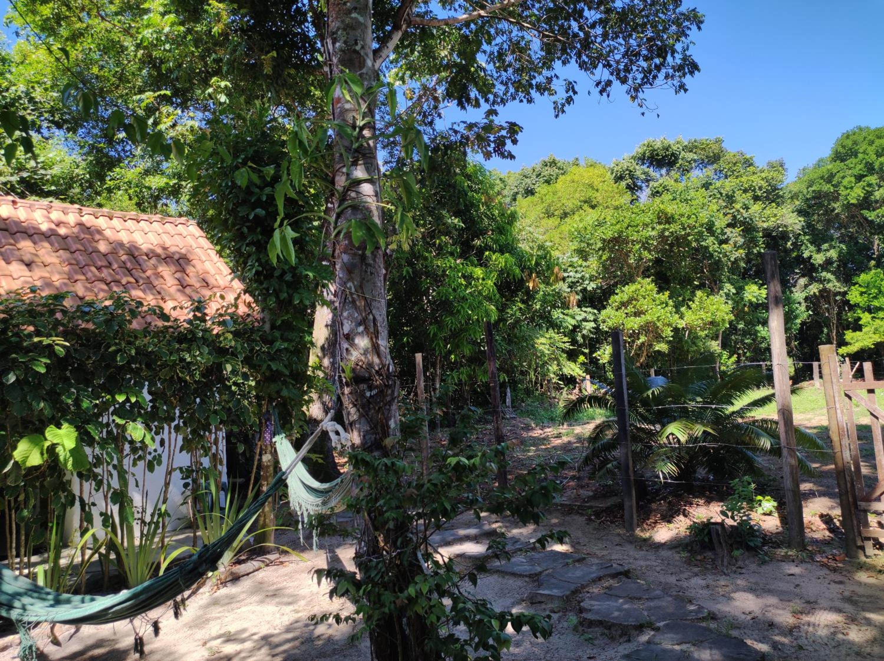 Espaço Pé de Mangaba - Natureza e Simplicidade