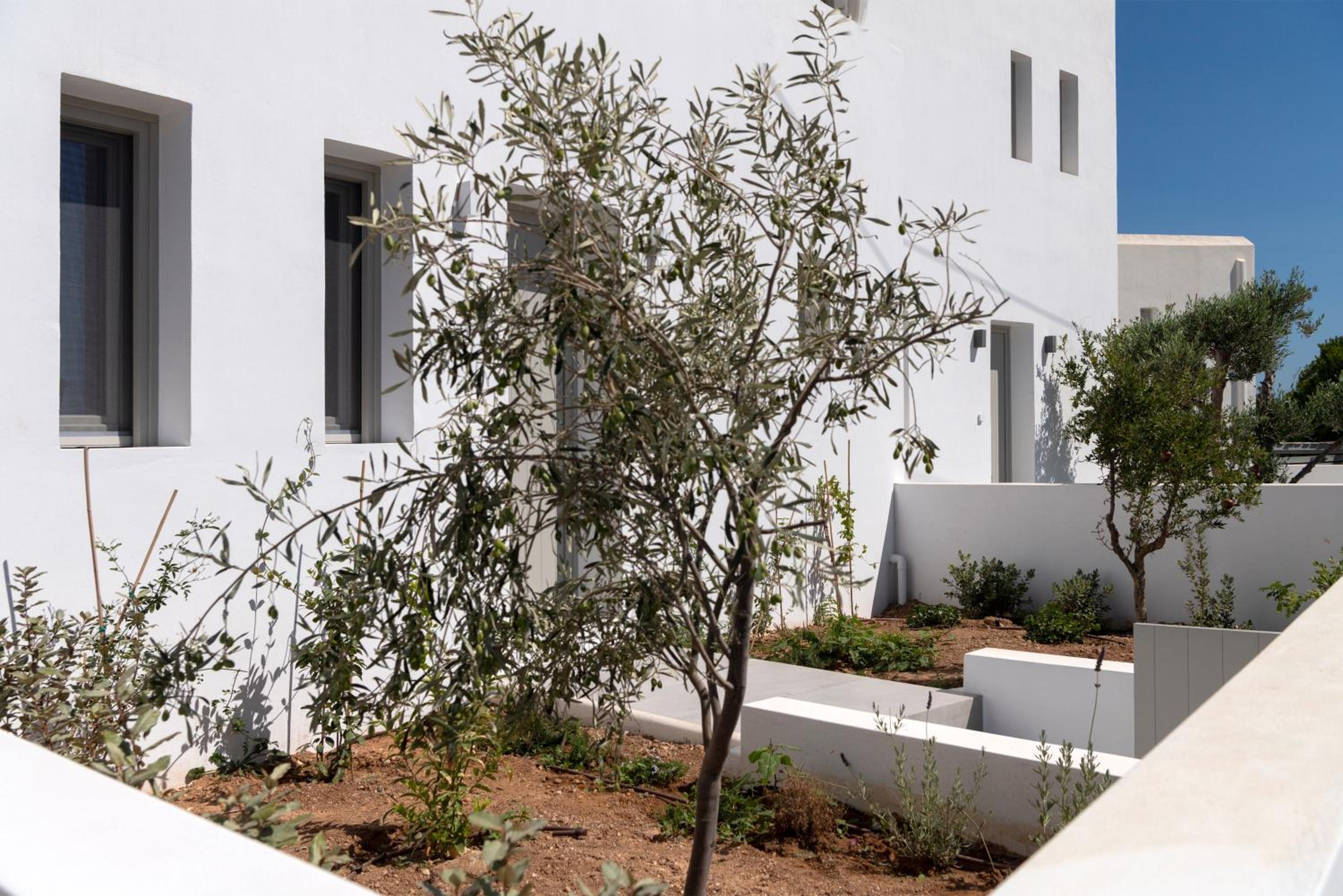 VILLA CELIA photo 3