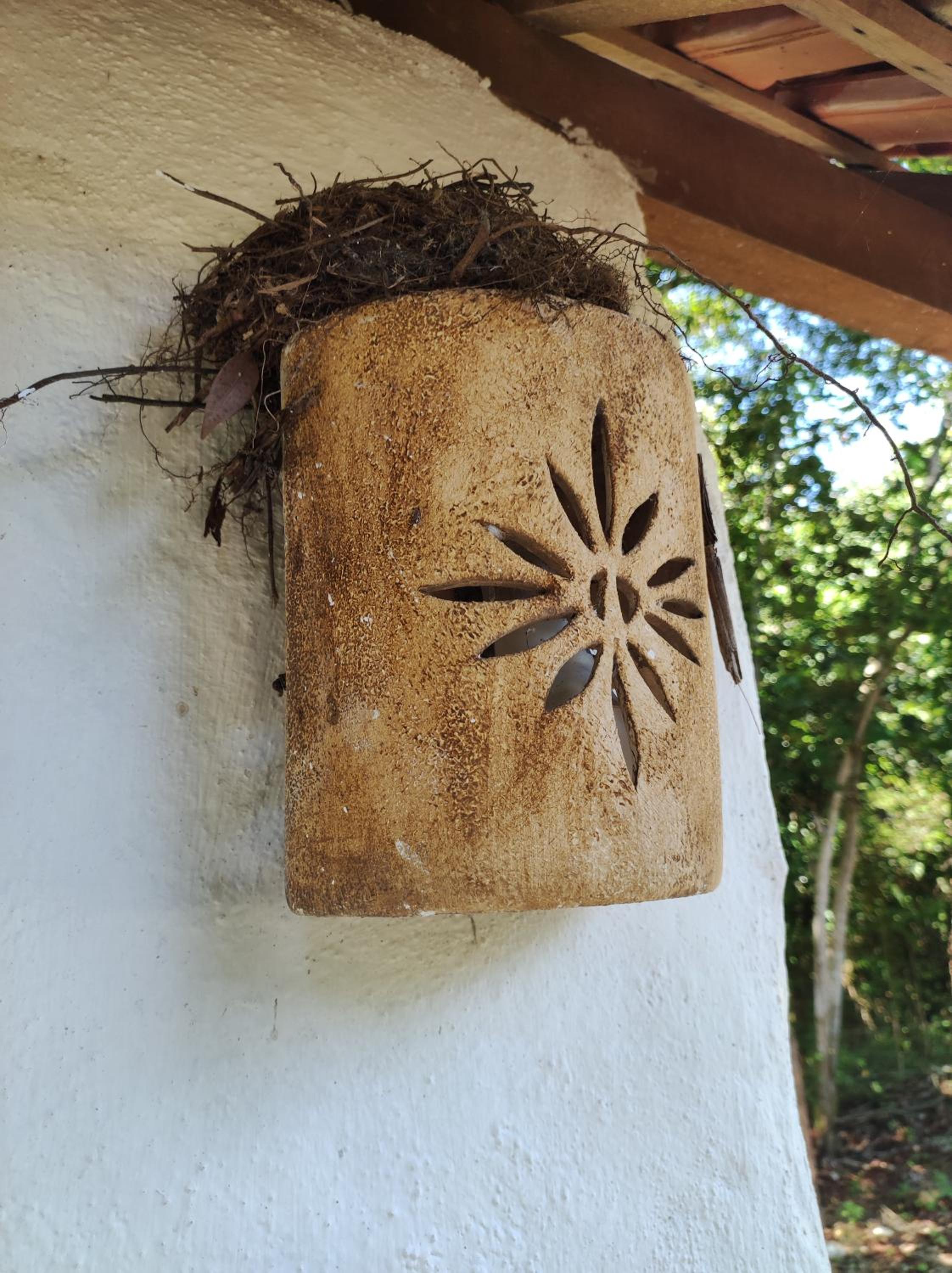 Espaço Pé de Mangaba - Natureza e Simplicidade