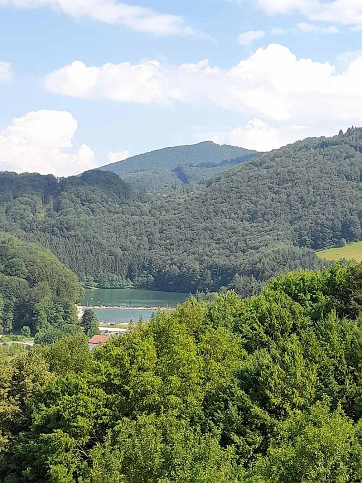Apartman Milekic