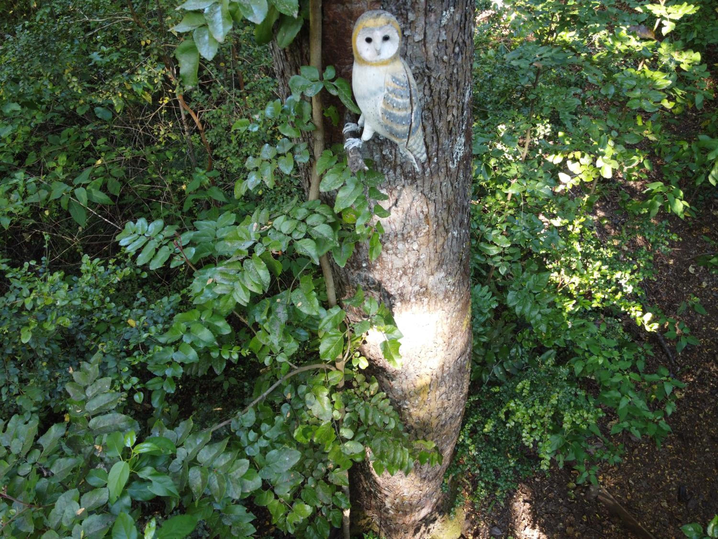 Photo 26