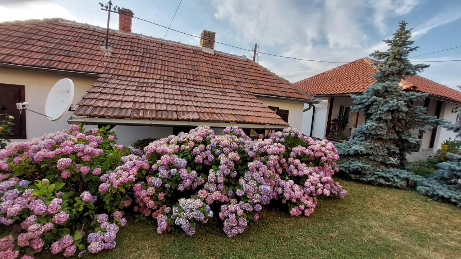 Apartman Nebojša