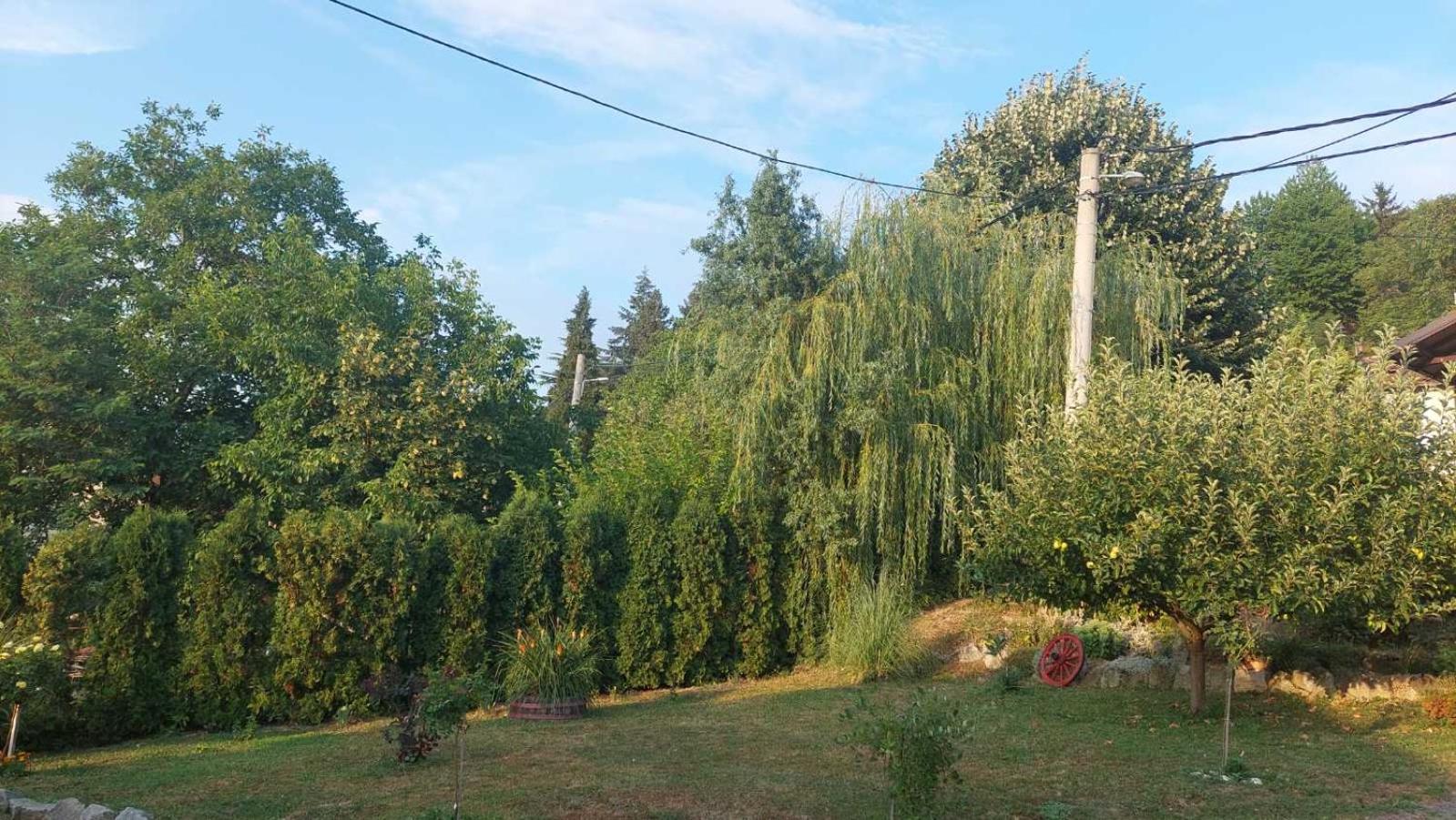 Apartman Nebojša