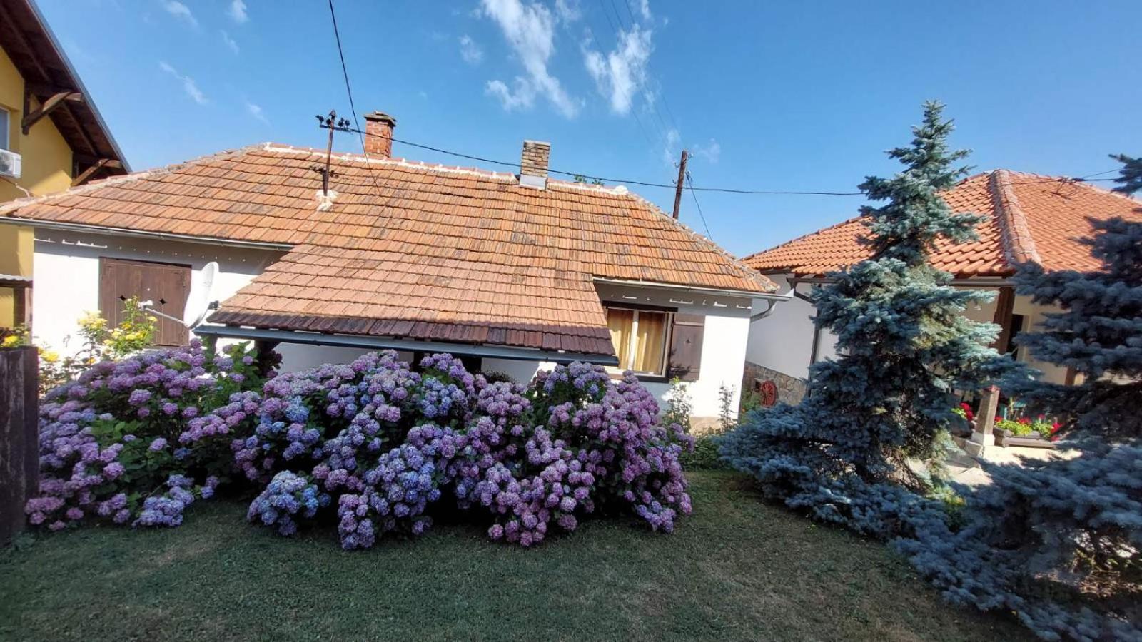 Apartman Nebojša