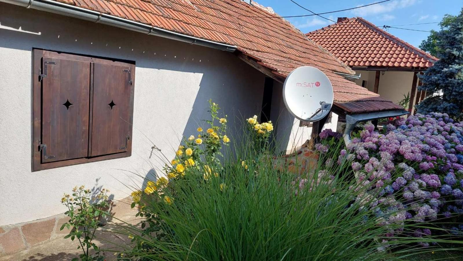 Apartman Nebojša