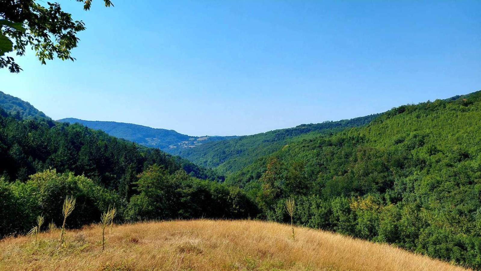 Apartman Nebojša