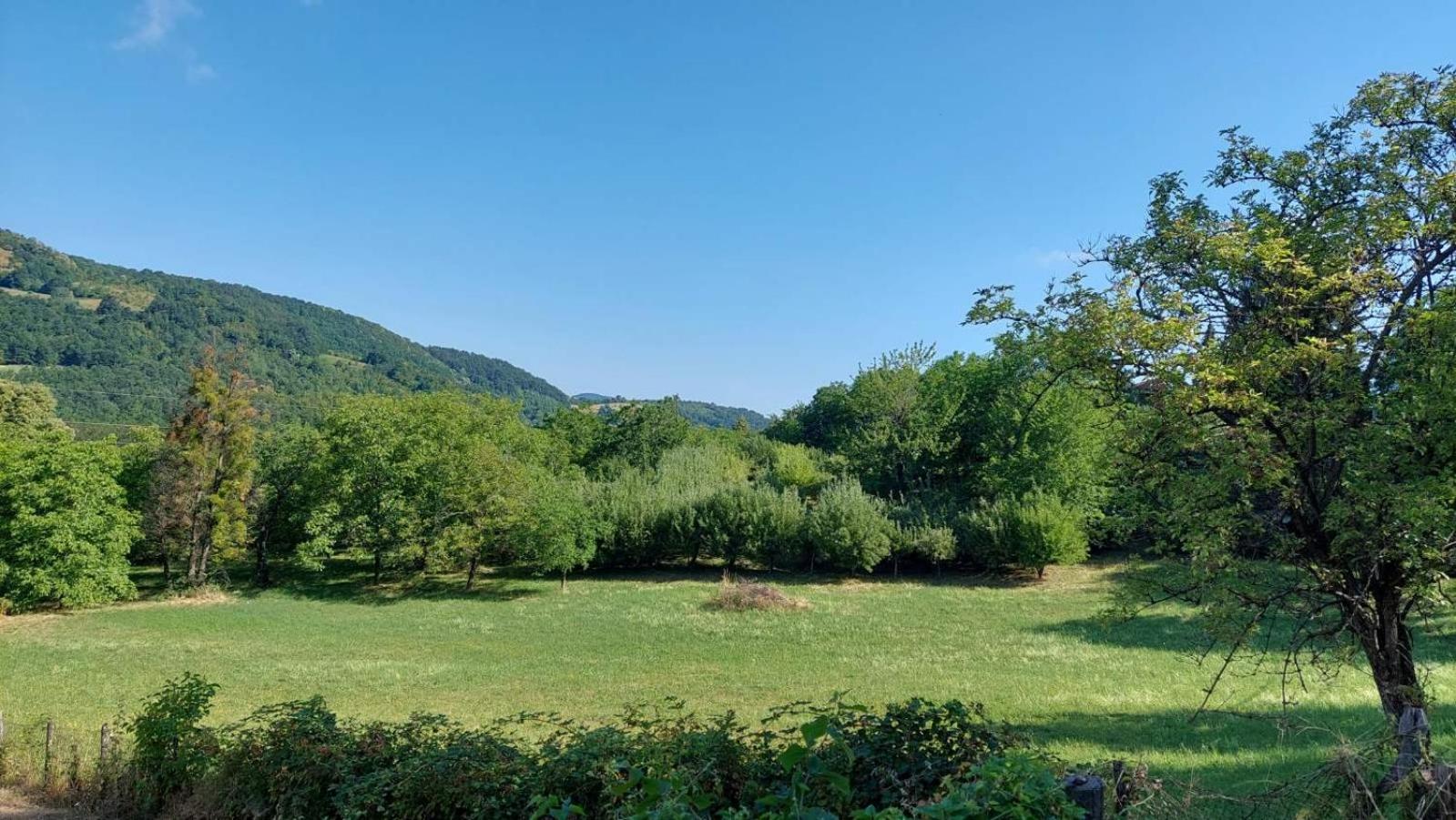 Apartman Nebojša