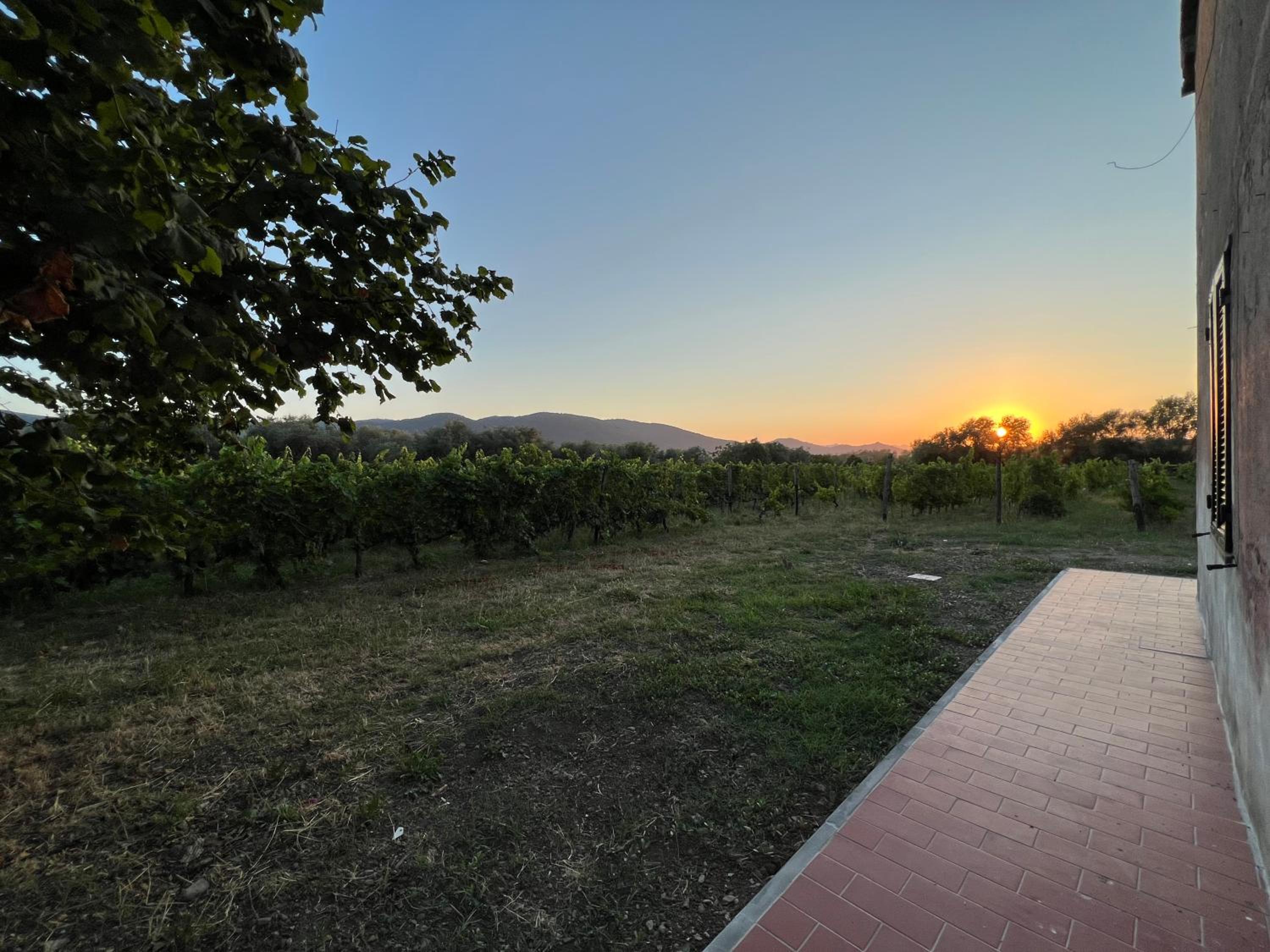 AceroRosso Farmhouse