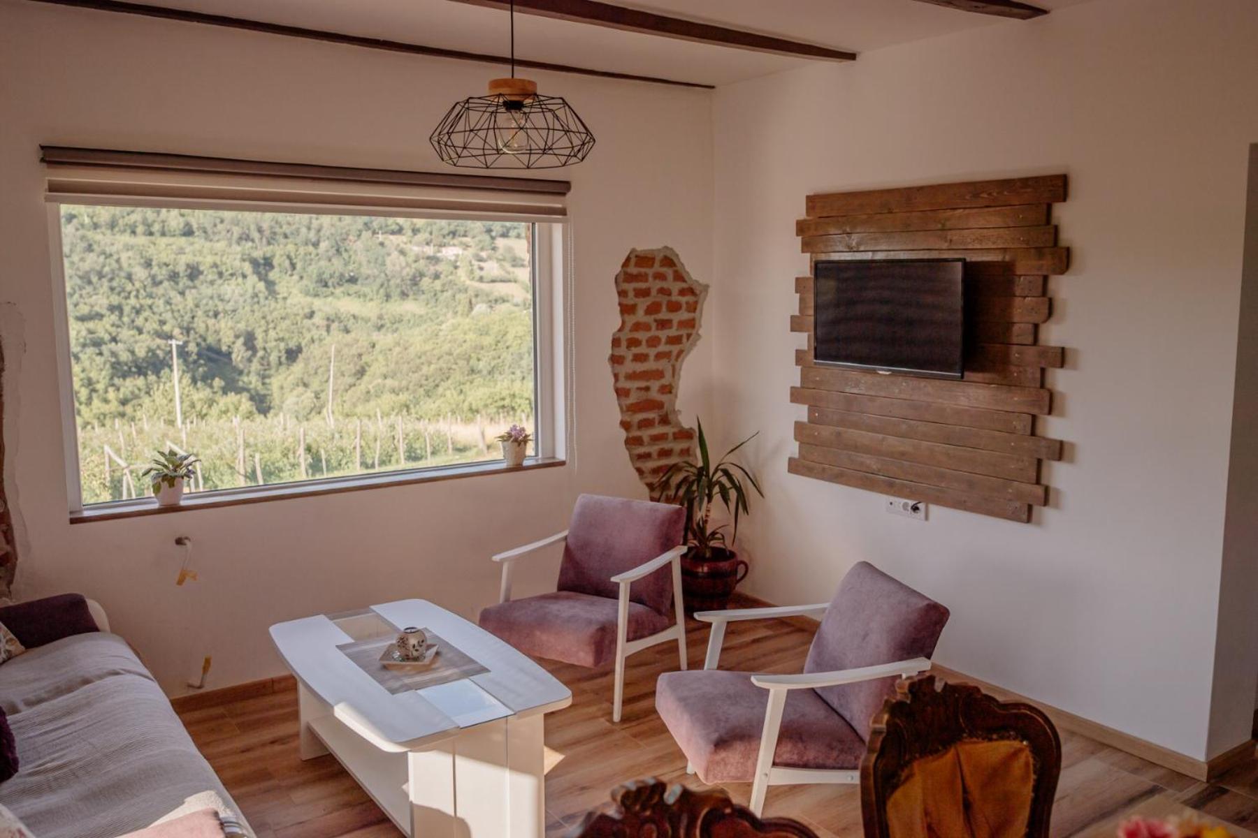 Apartmani Ružina staza view 2