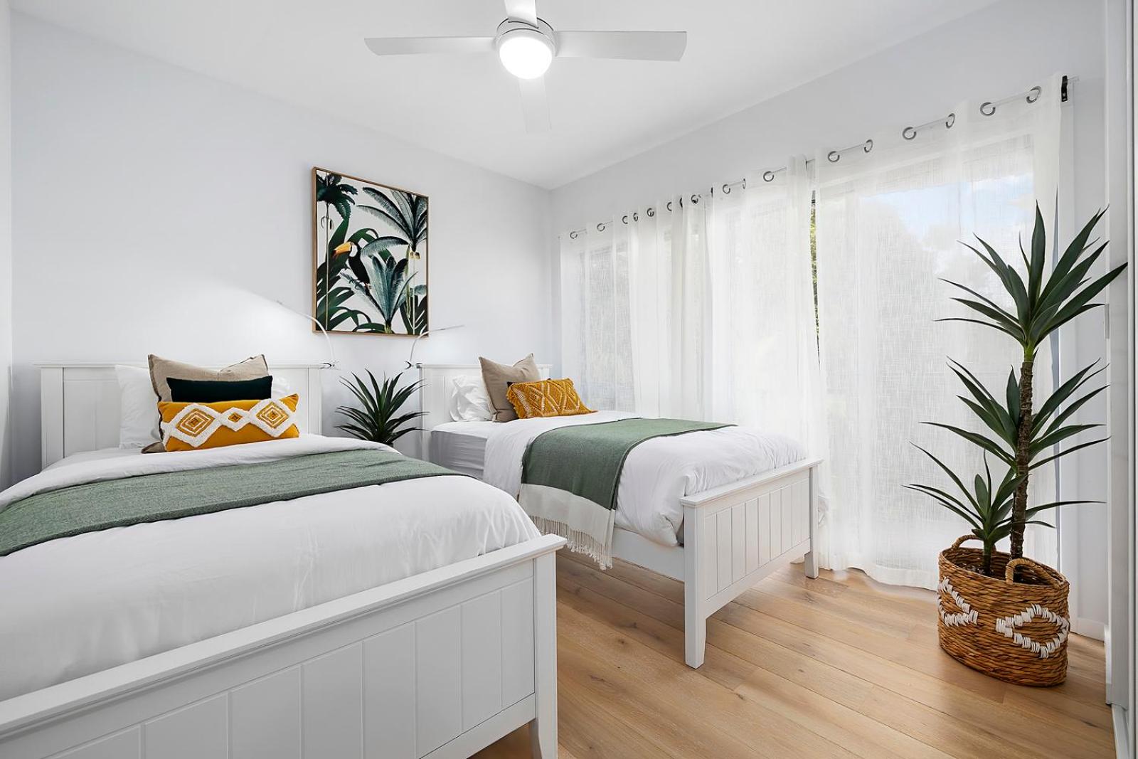 Papillon Coolum