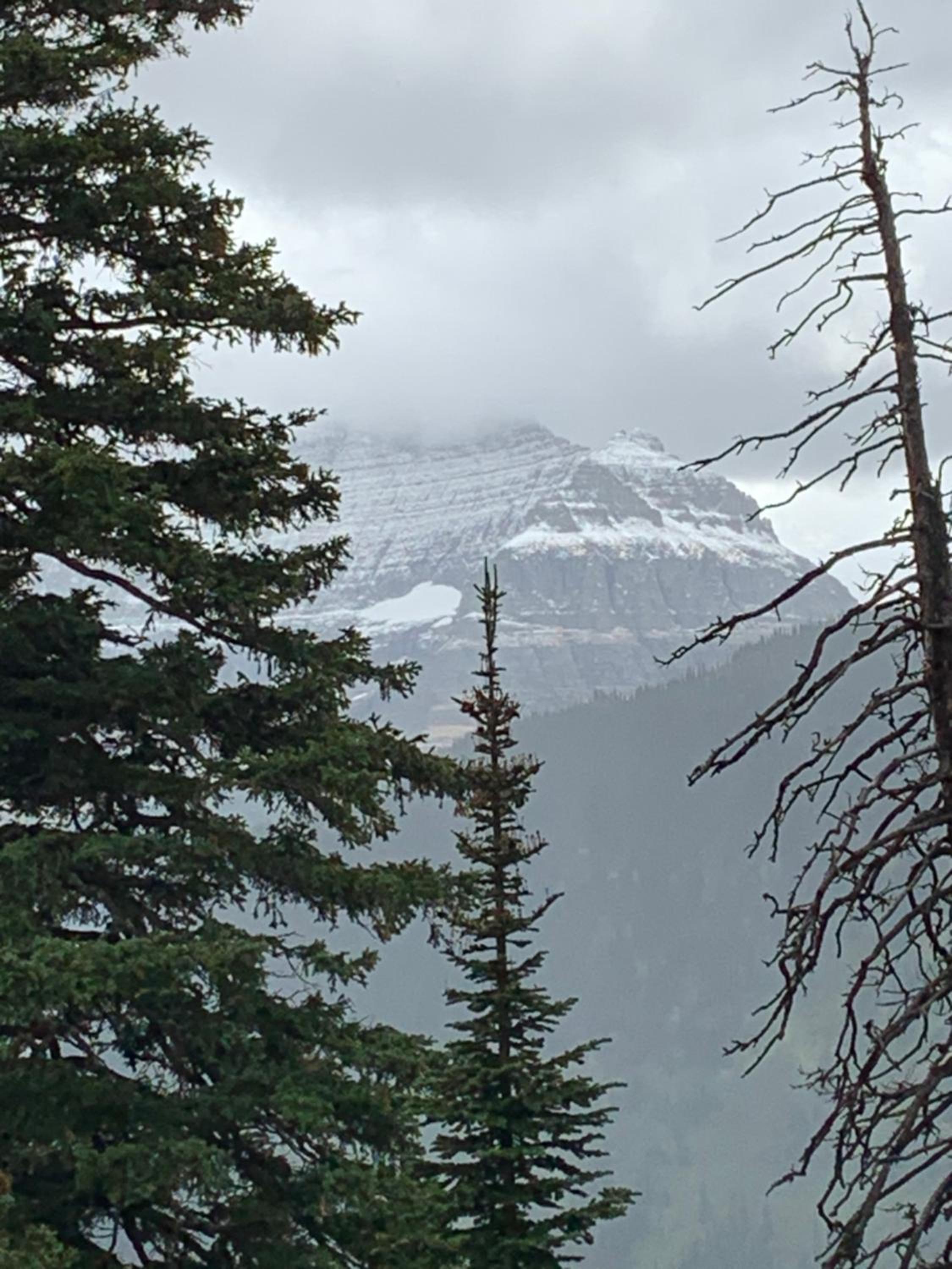 Glacier Haven Inn