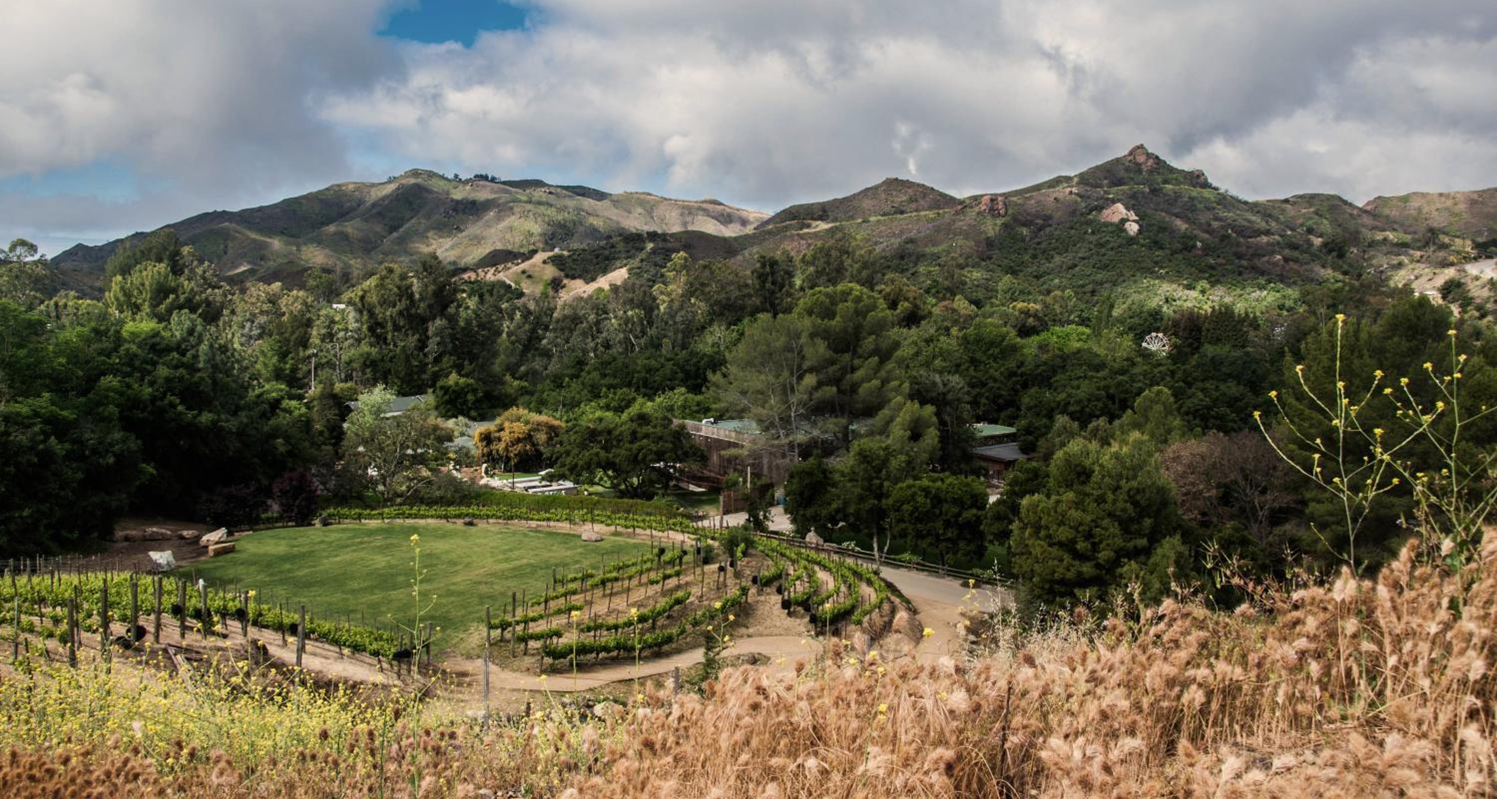 Calamigos Guest Ranch and Beach Club - Property Image 5