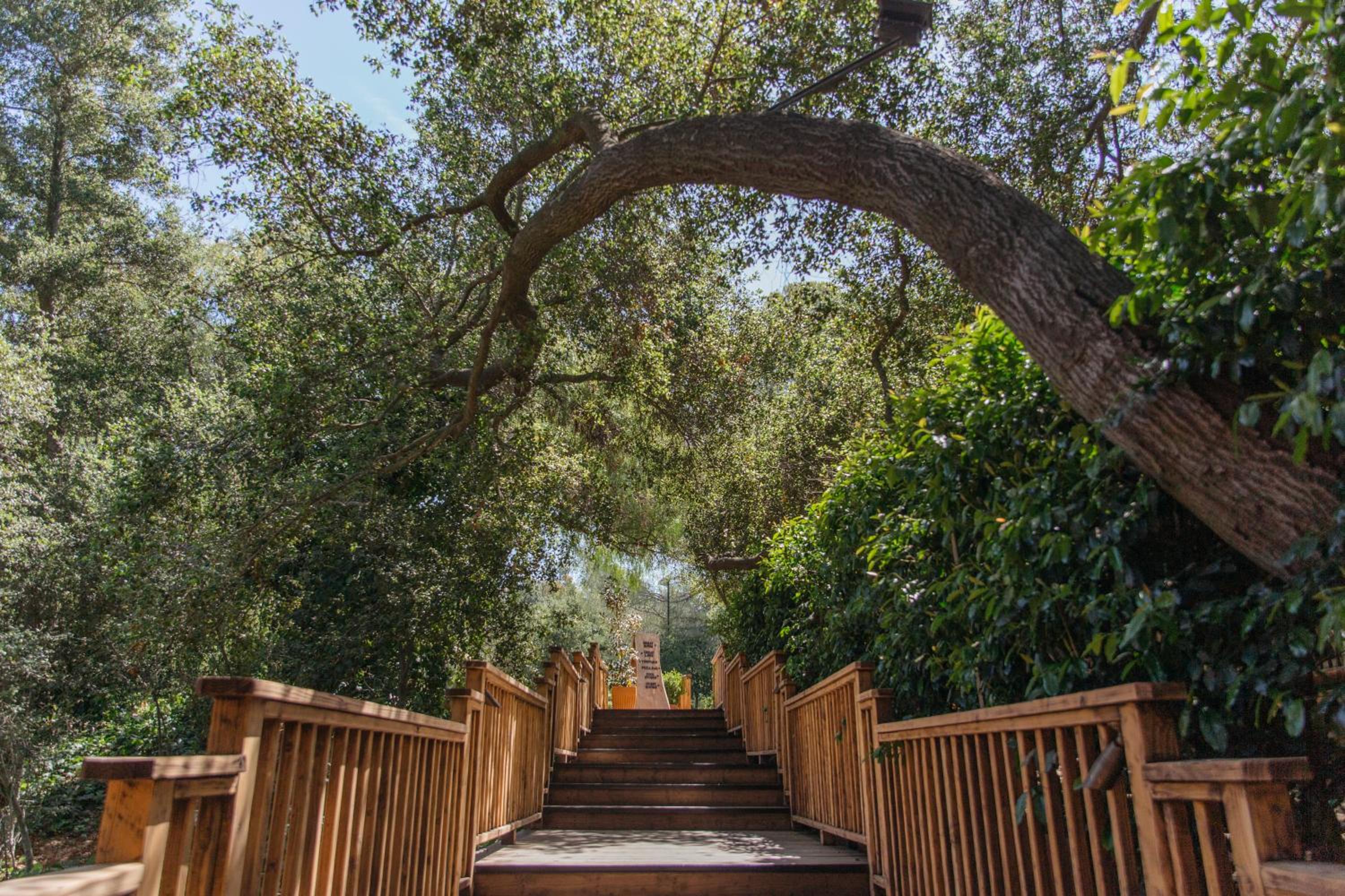 Calamigos Guest Ranch and Beach Club - Property Image 11