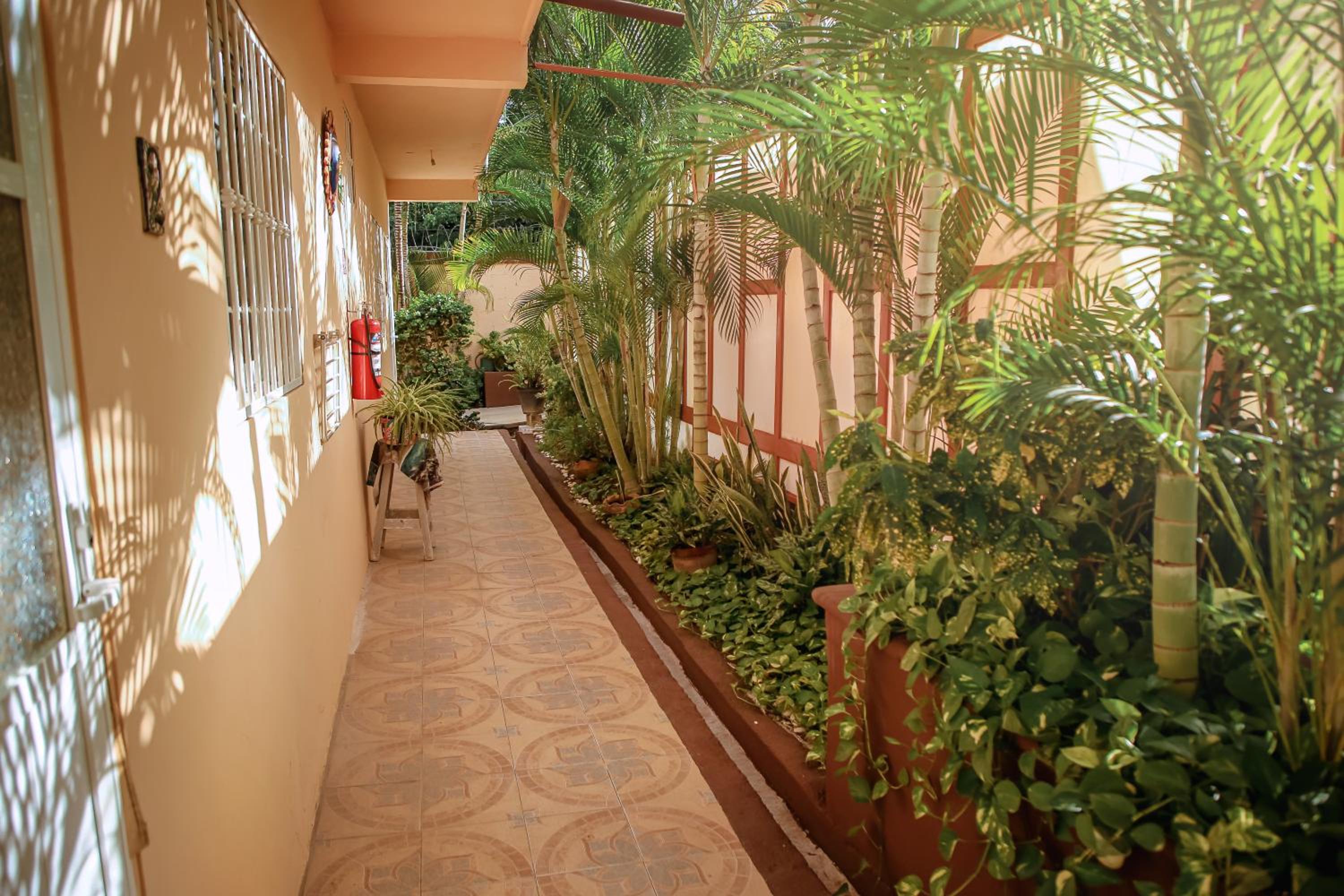Balcony & Terrace