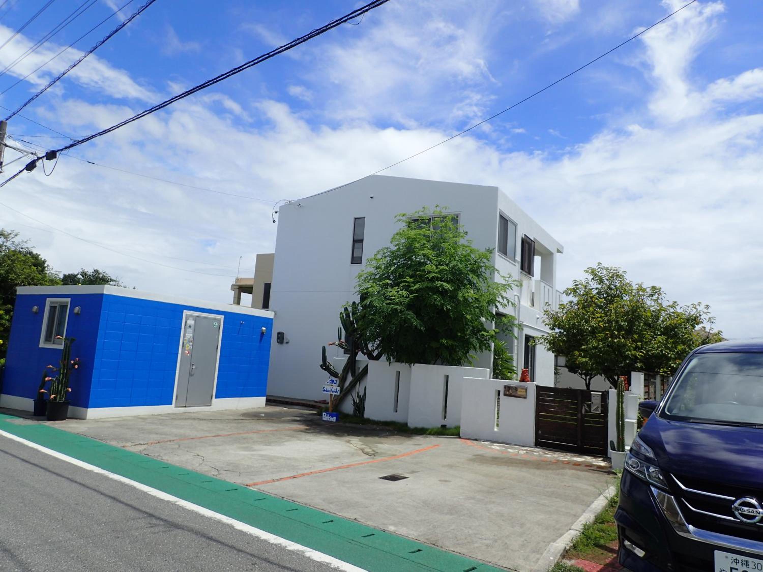 Smilax Kurichi view 4