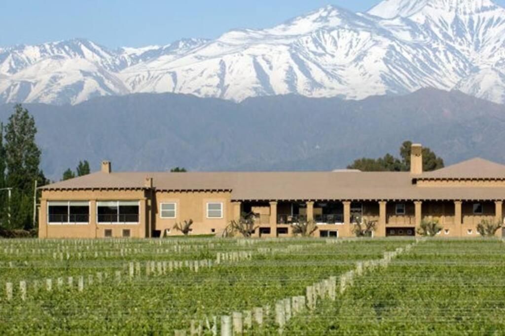 Departamento en tierra Malbec