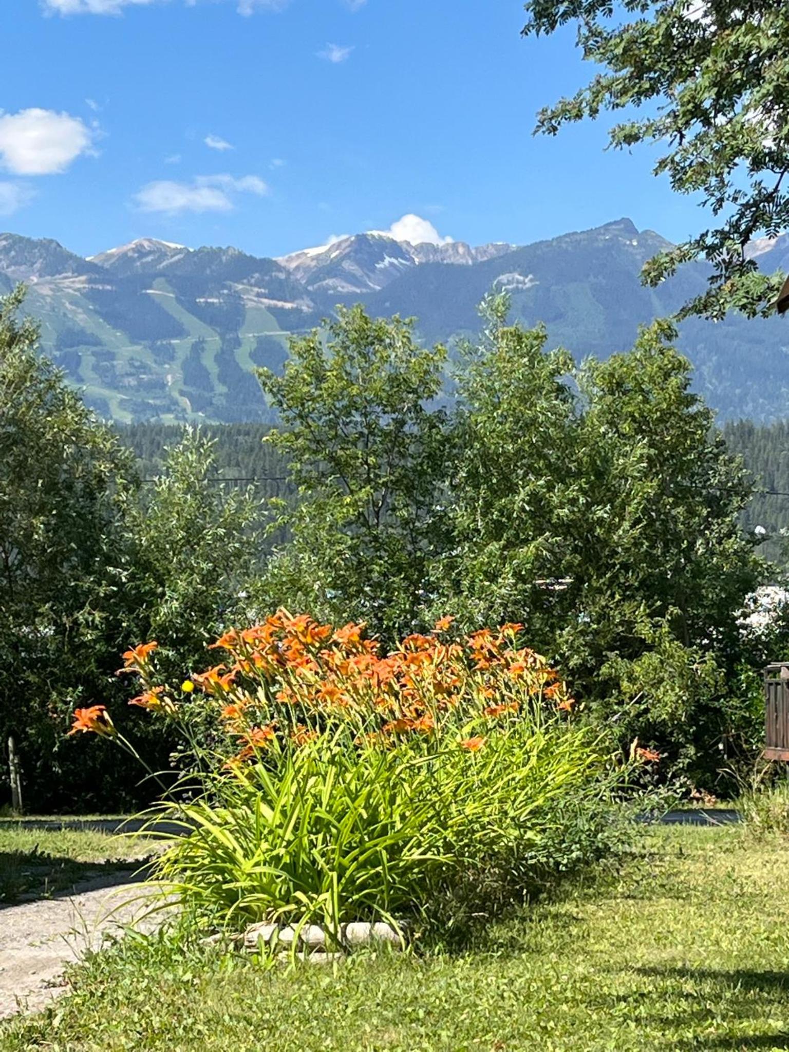 Golden Vacations - Brookside Motel - Property Image 37