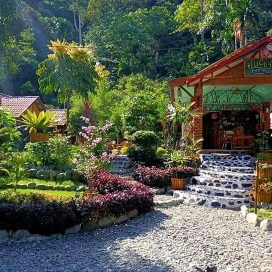 Lucky Bamboo'Bungalows and Orangutan Jungle Trekking Tours